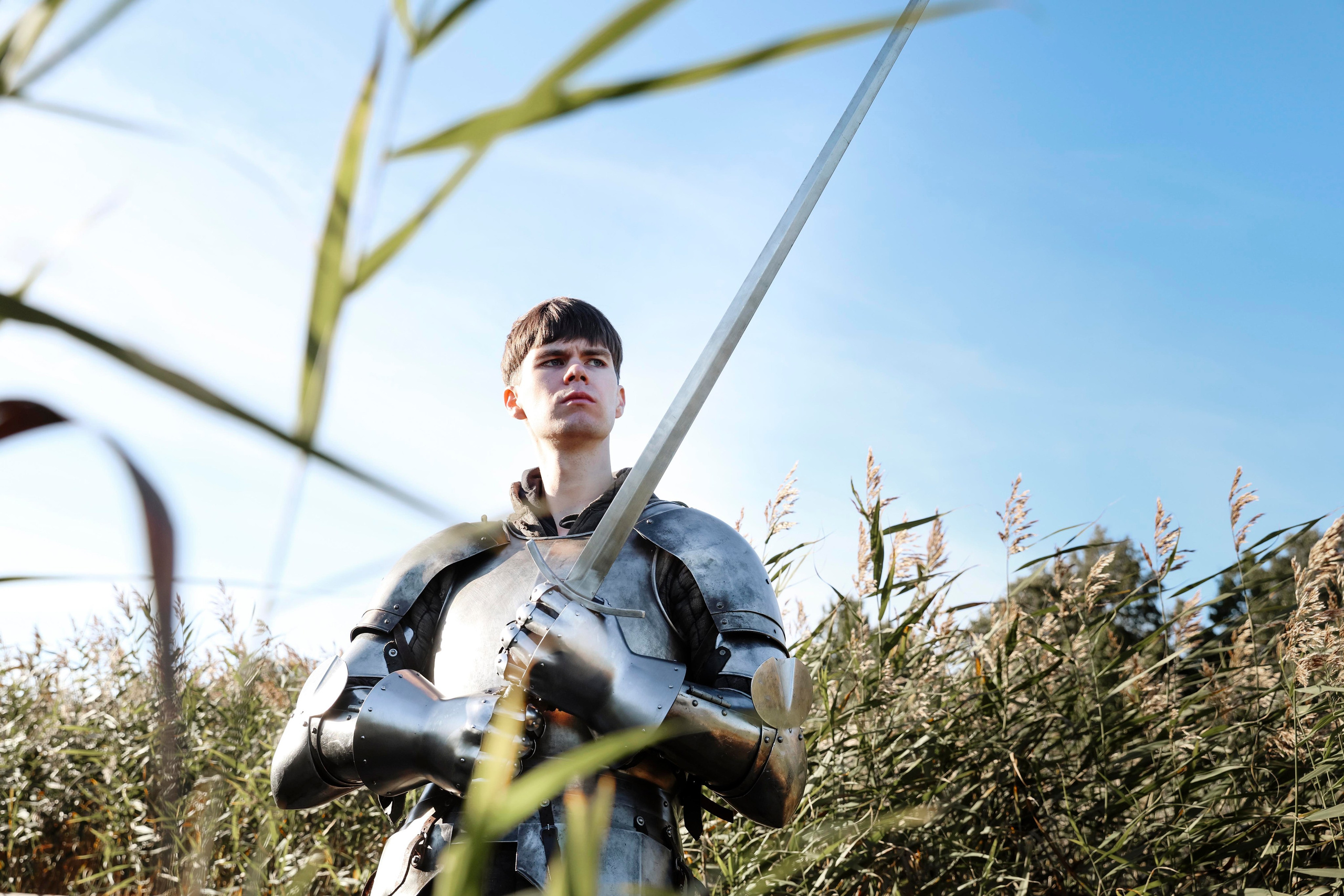 Knight. Dubrovina photo
