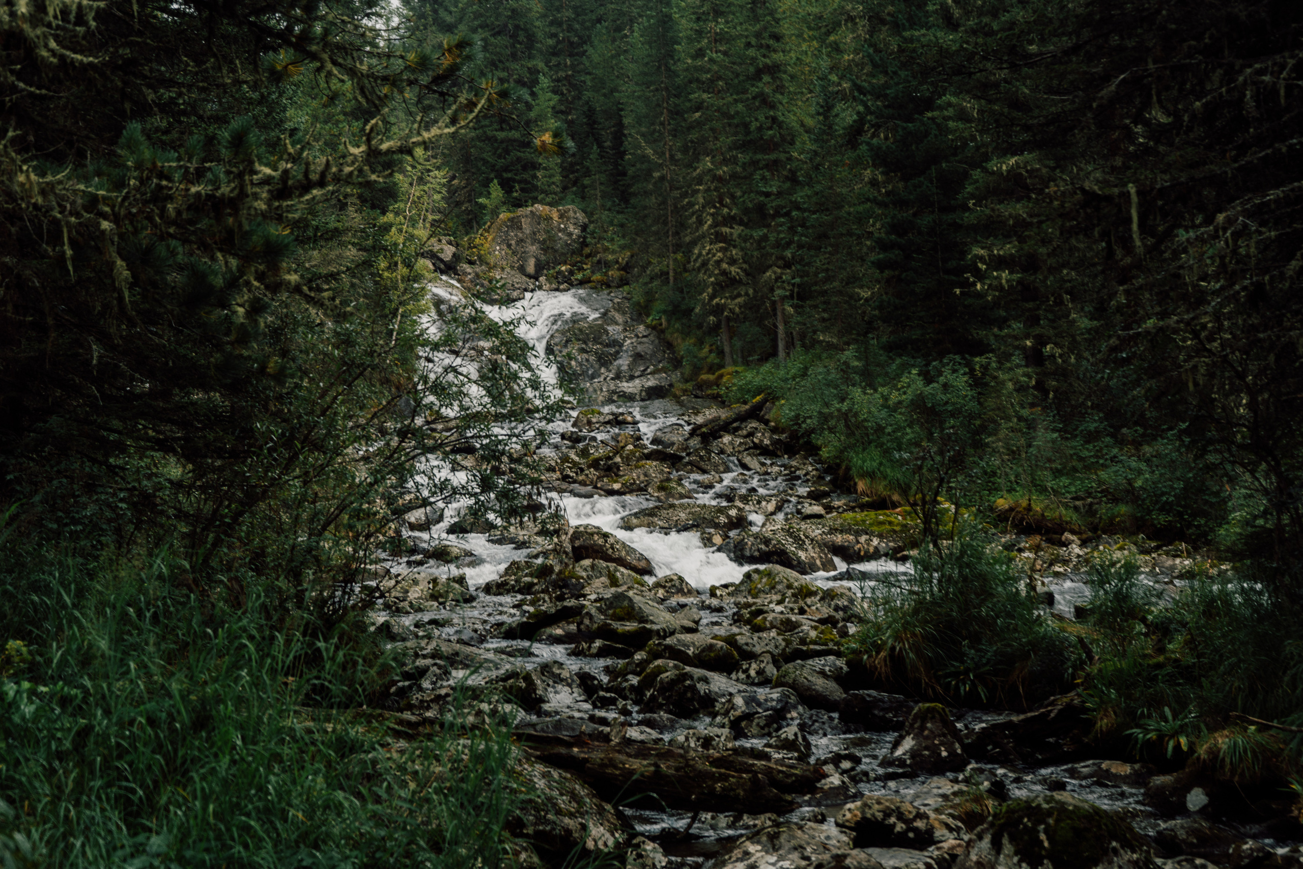 Катунский заповедник. Фотограф в Санкт-Петербурге — Лучина Екатерина