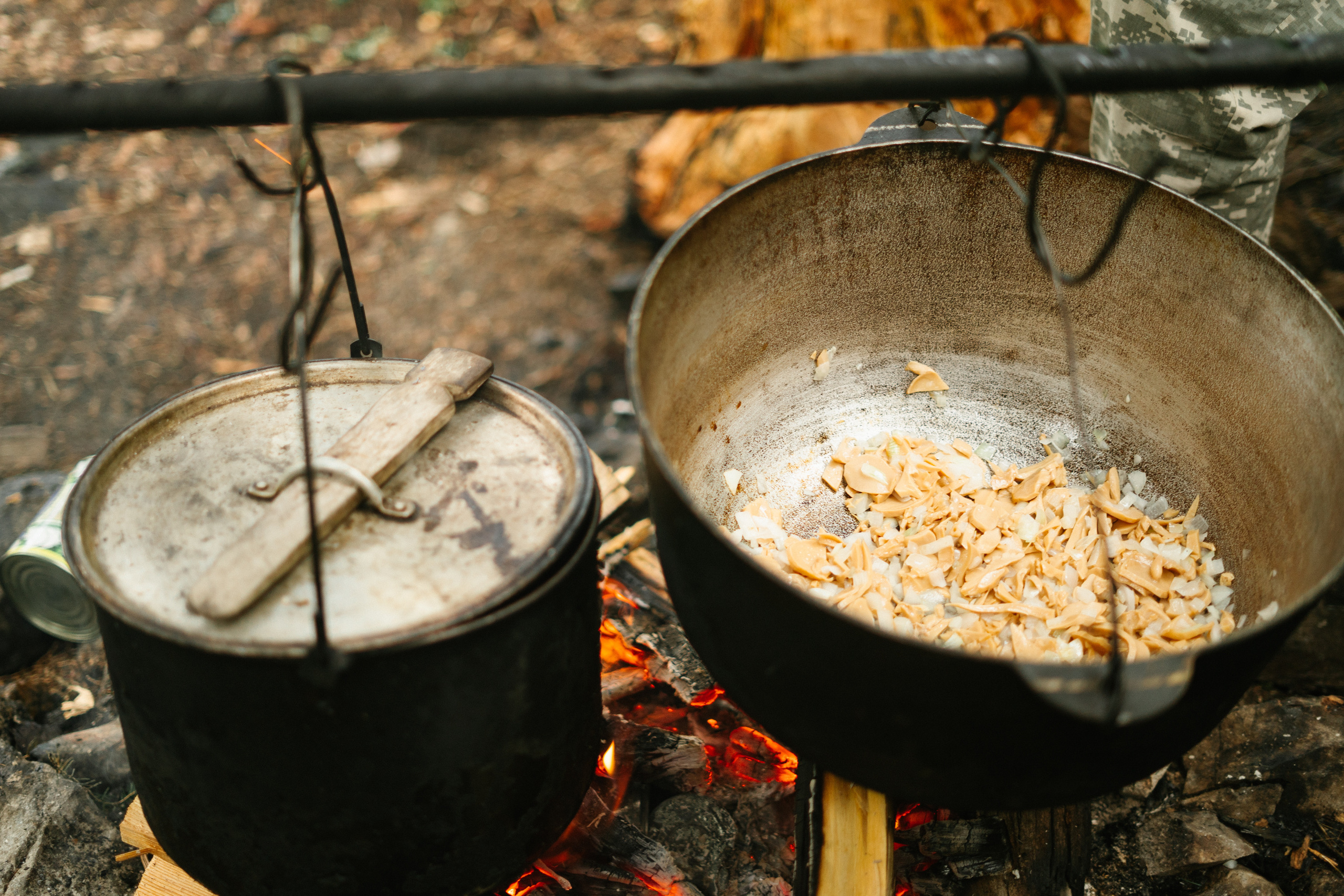 Катунский заповедник. Фотограф в Санкт-Петербурге — Лучина Екатерина