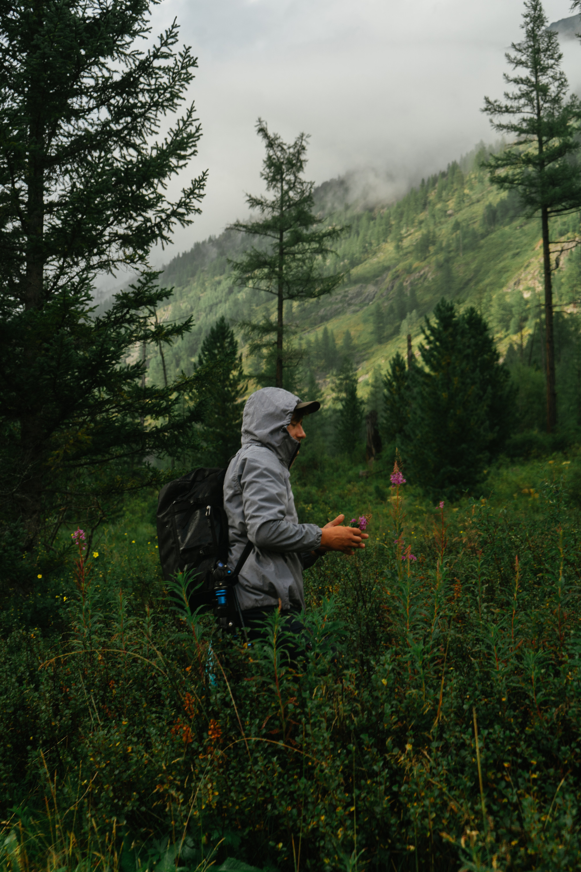 Катунский заповедник. Фотограф в Санкт-Петербурге — Лучина Екатерина