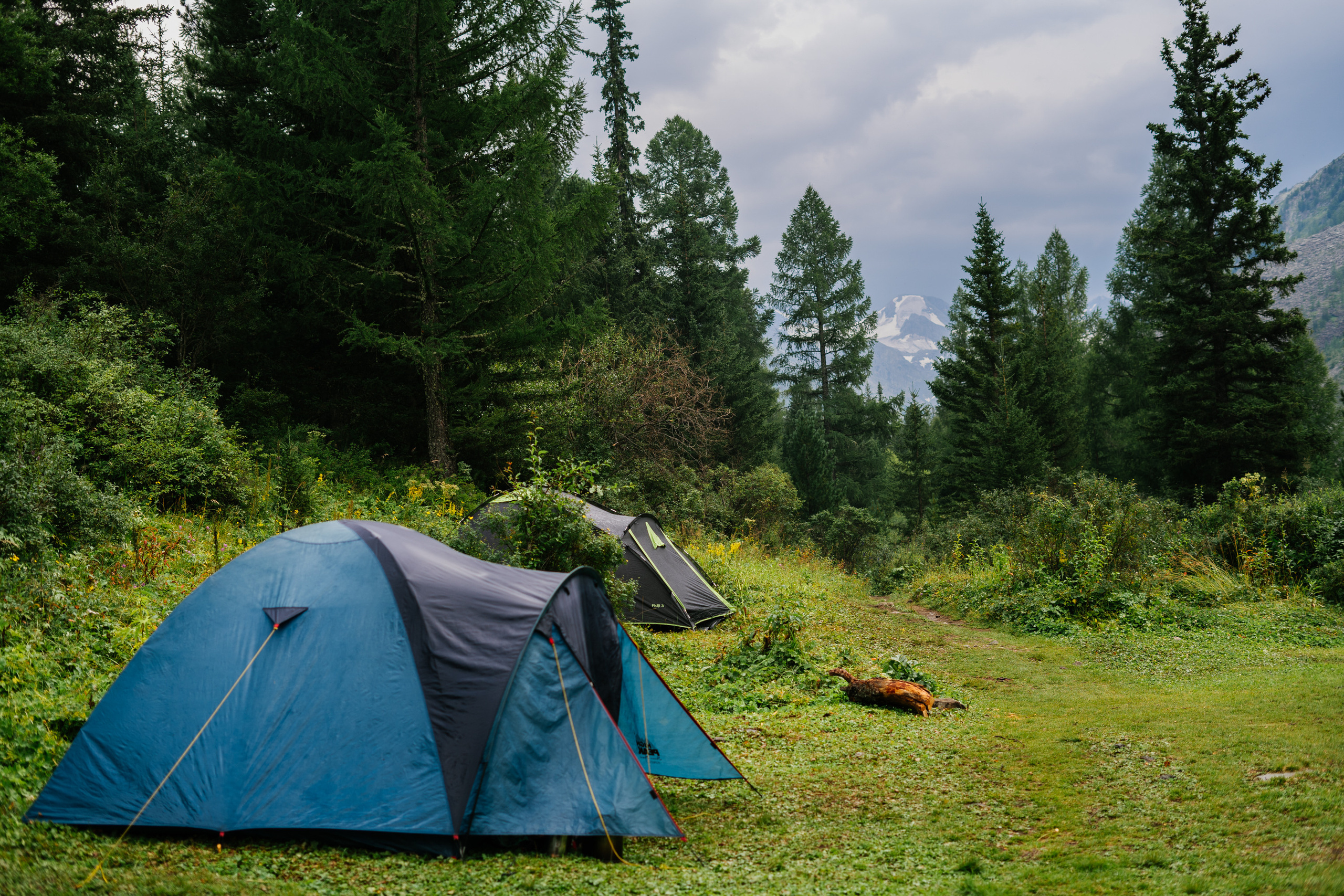 Катунский заповедник. Фотограф в Санкт-Петербурге — Лучина Екатерина