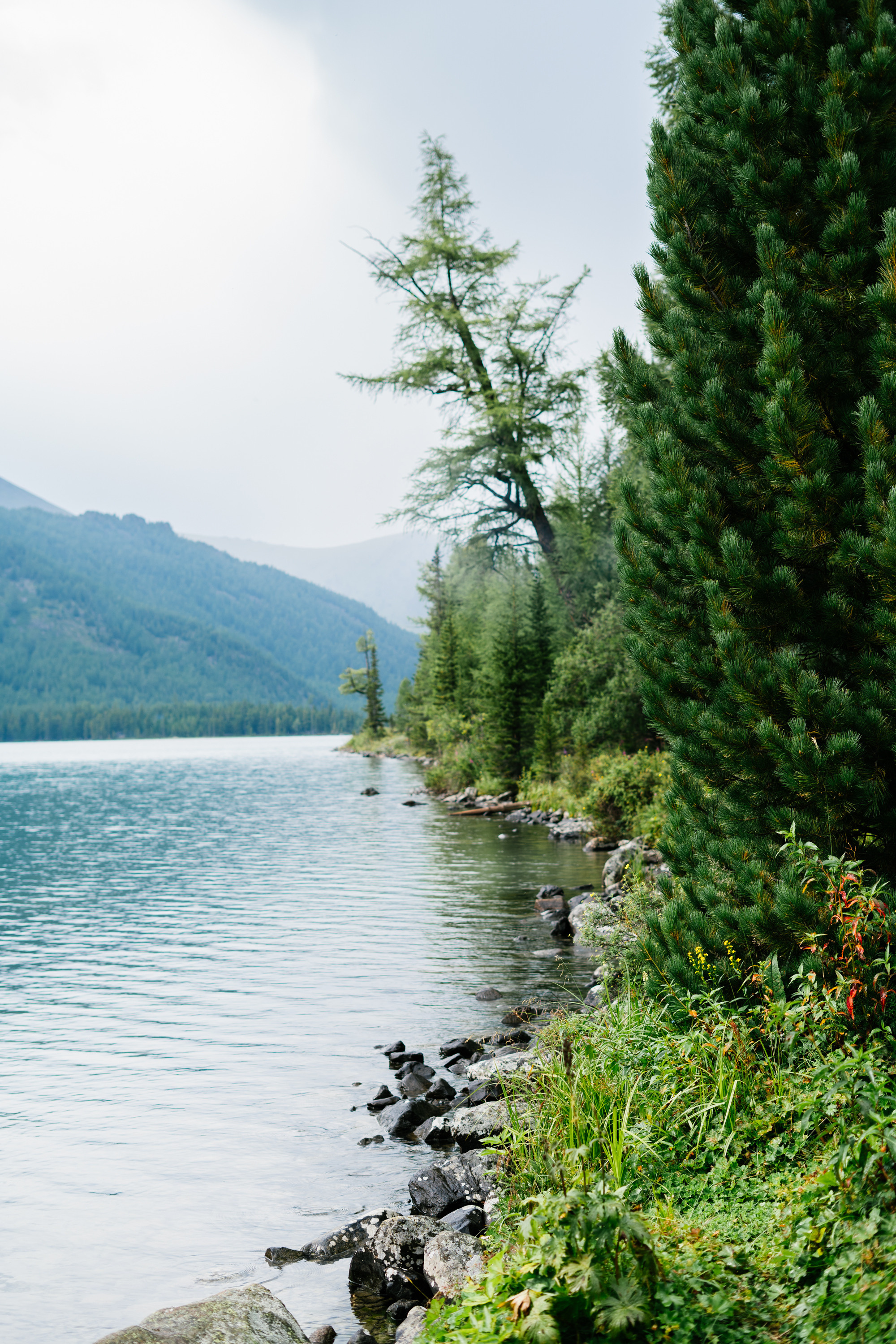 Катунский заповедник. Фотограф в Санкт-Петербурге — Лучина Екатерина
