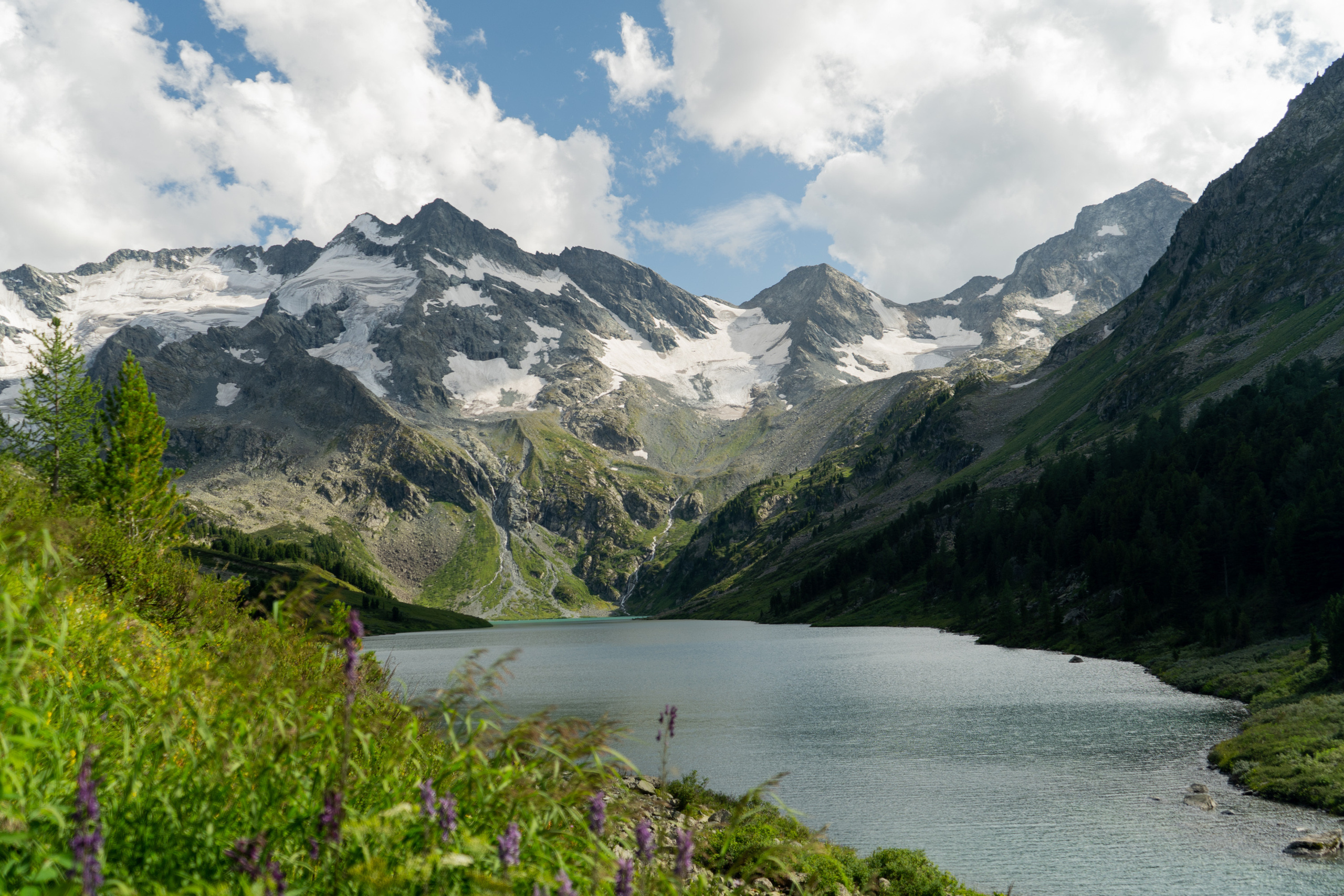 Катунский заповедник. Фотограф в Санкт-Петербурге — Лучина Екатерина