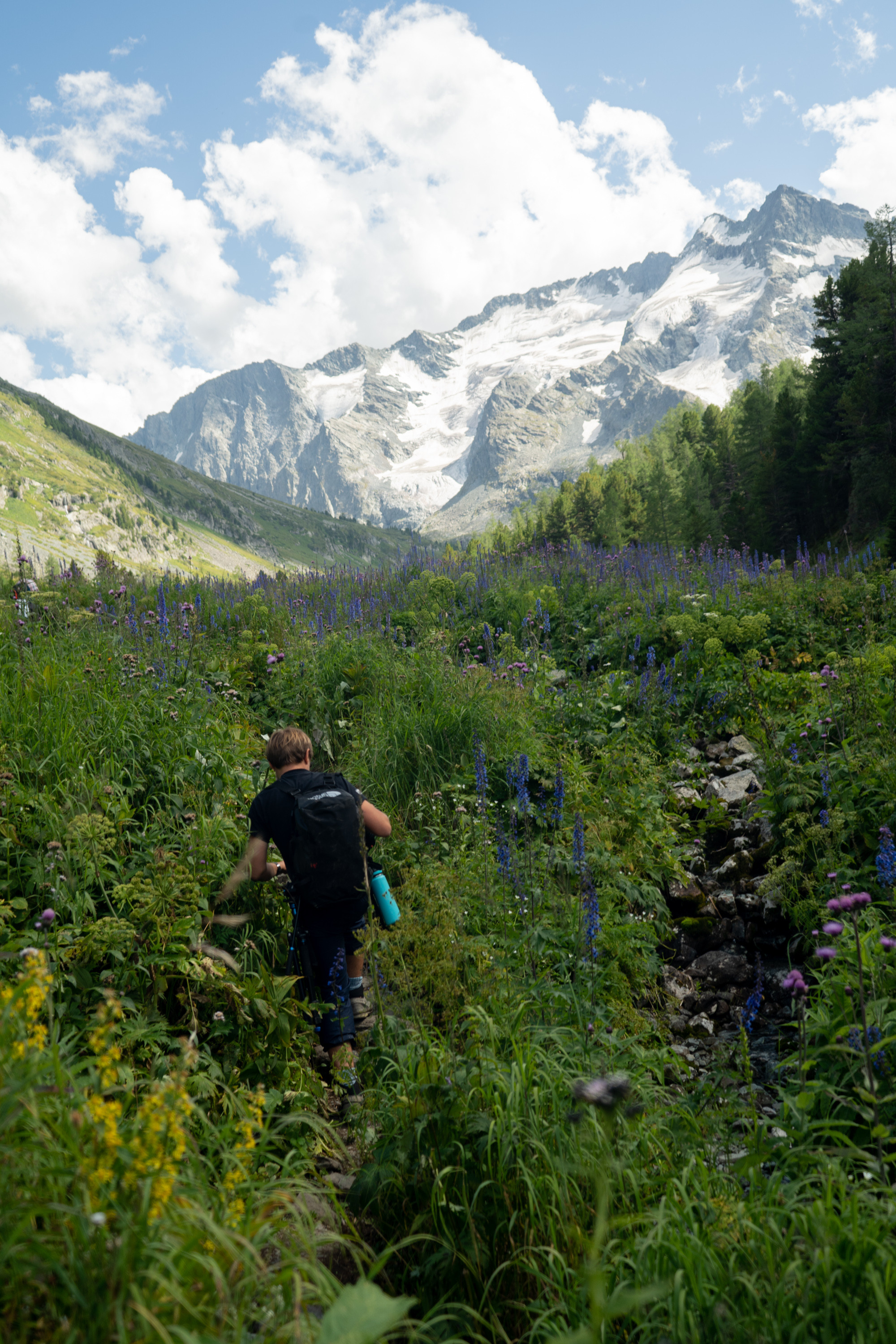 Катунский заповедник. Фотограф в Санкт-Петербурге — Лучина Екатерина