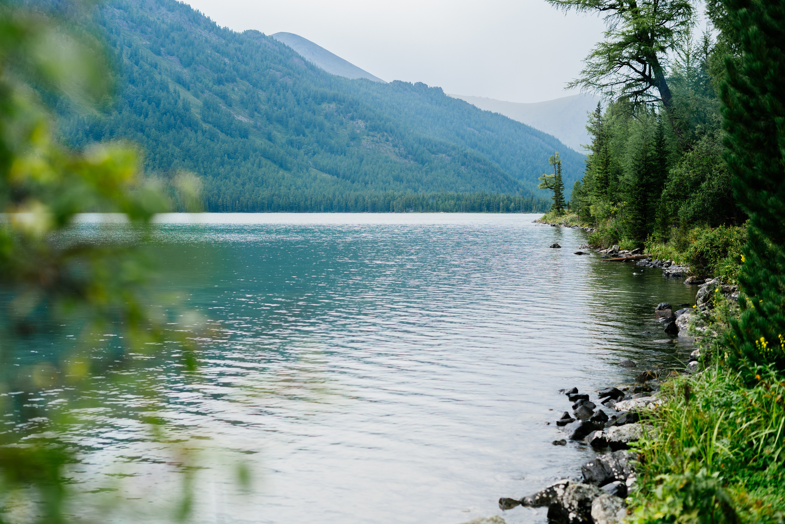 Катунский заповедник. Фотограф в Санкт-Петербурге — Лучина Екатерина
