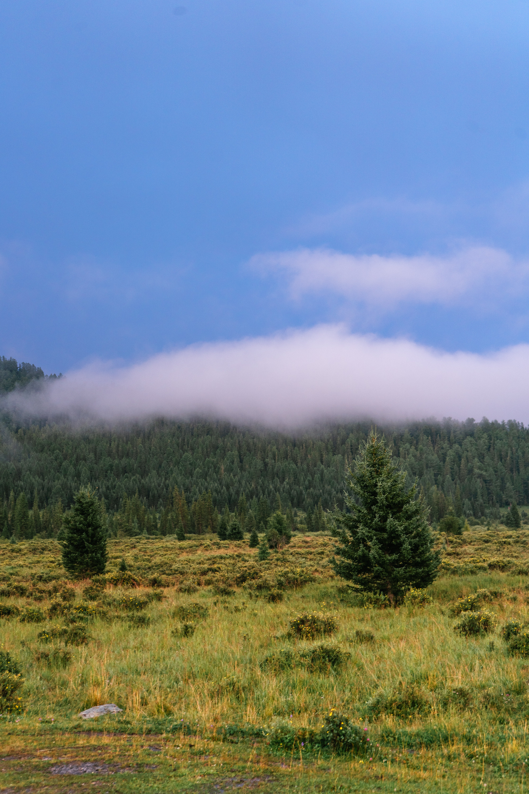 Катунский заповедник. Фотограф в Санкт-Петербурге — Лучина Екатерина