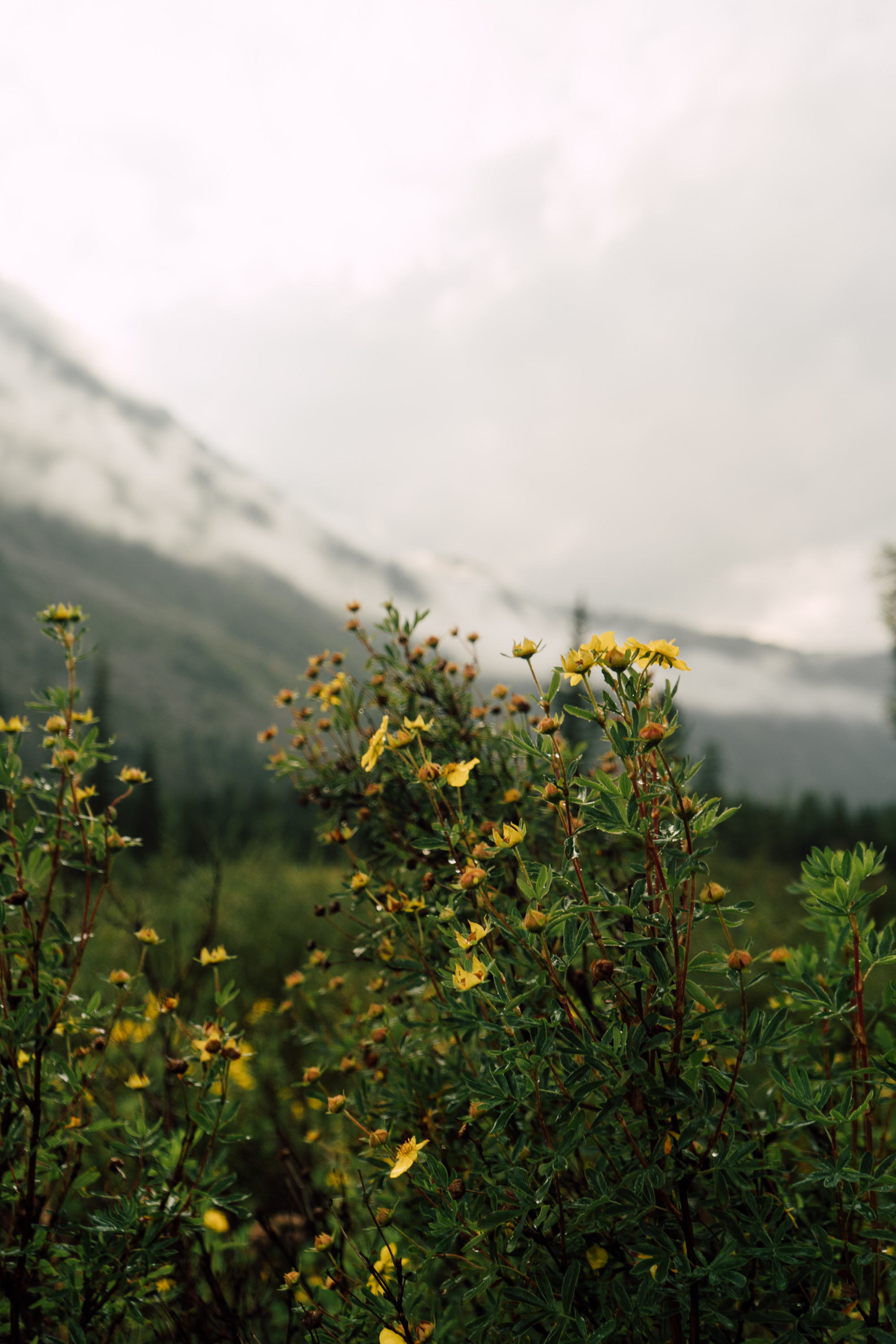 Катунский заповедник. Фотограф в Санкт-Петербурге — Лучина Екатерина