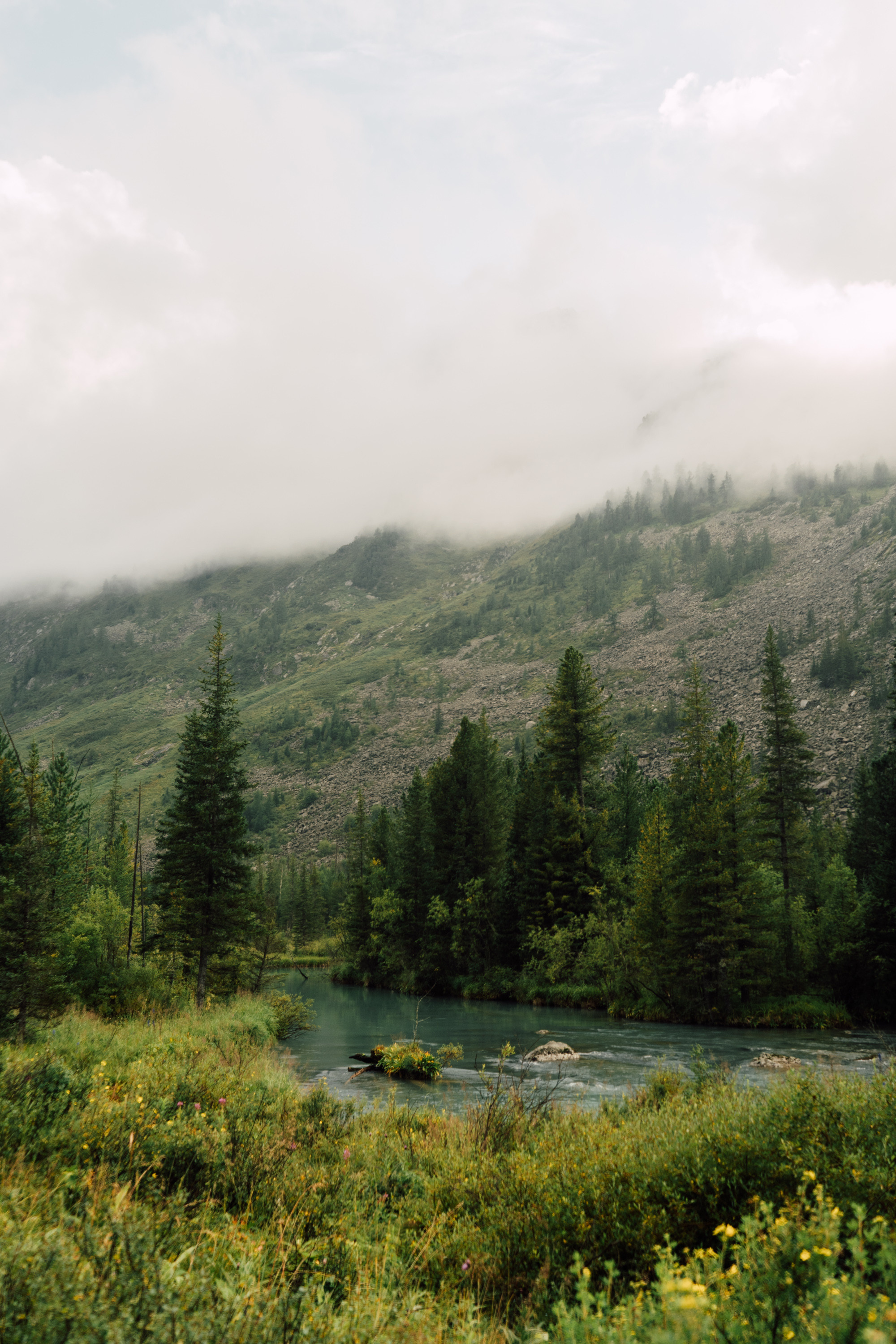 Катунский заповедник. Фотограф в Санкт-Петербурге — Лучина Екатерина