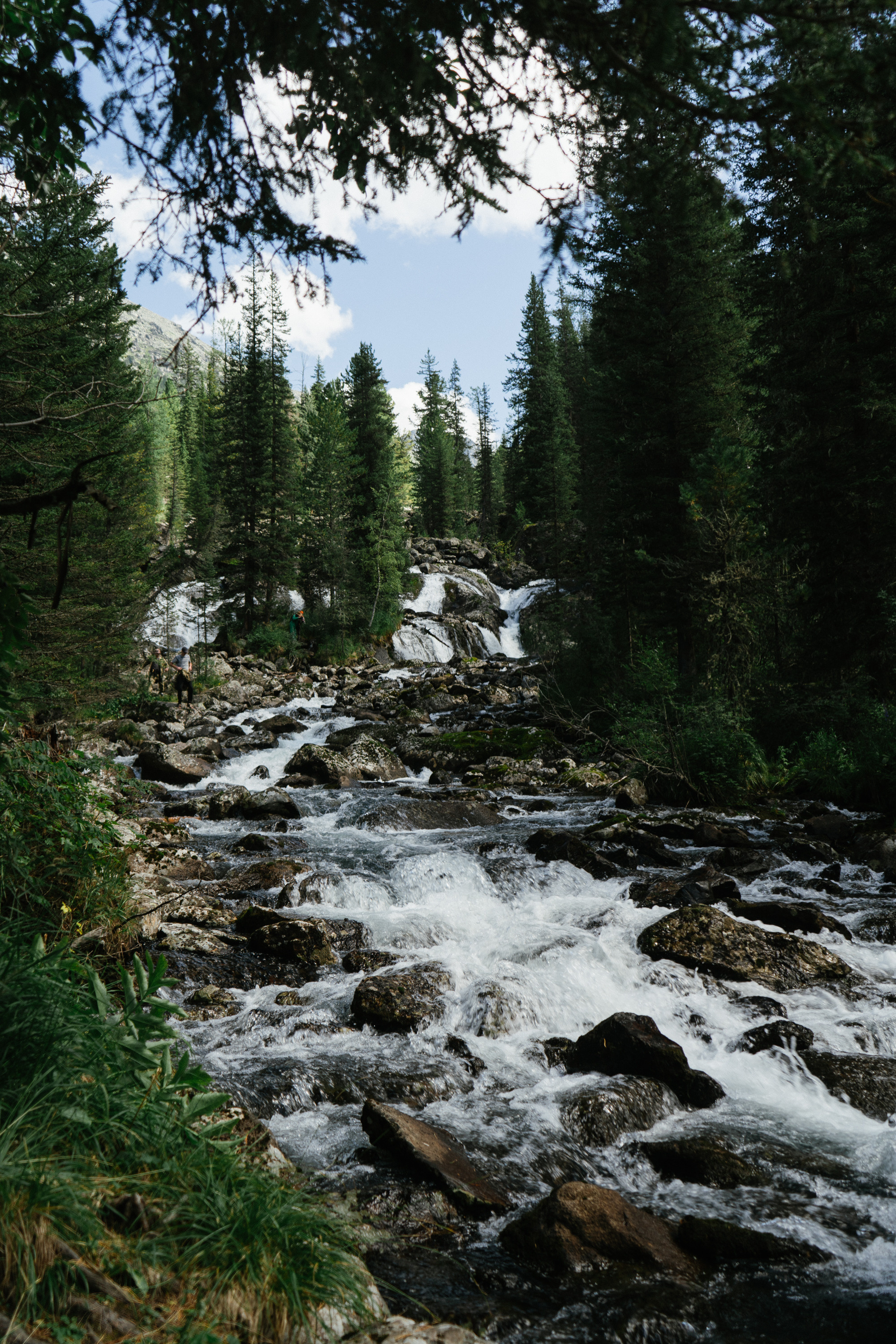 Катунский заповедник. Фотограф в Санкт-Петербурге — Лучина Екатерина