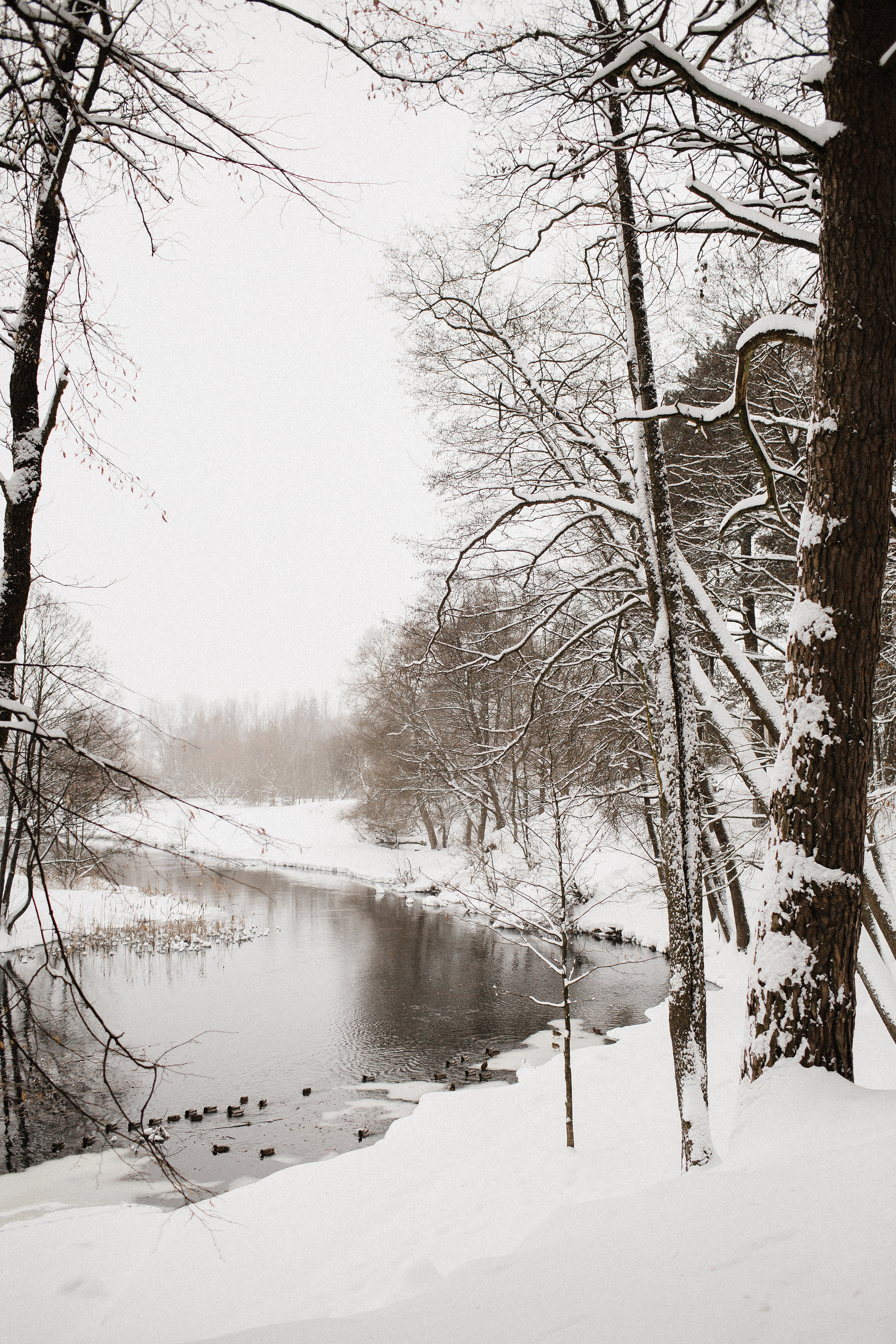 Мартовский снег и южный загар. Фотограф Аня Безяева