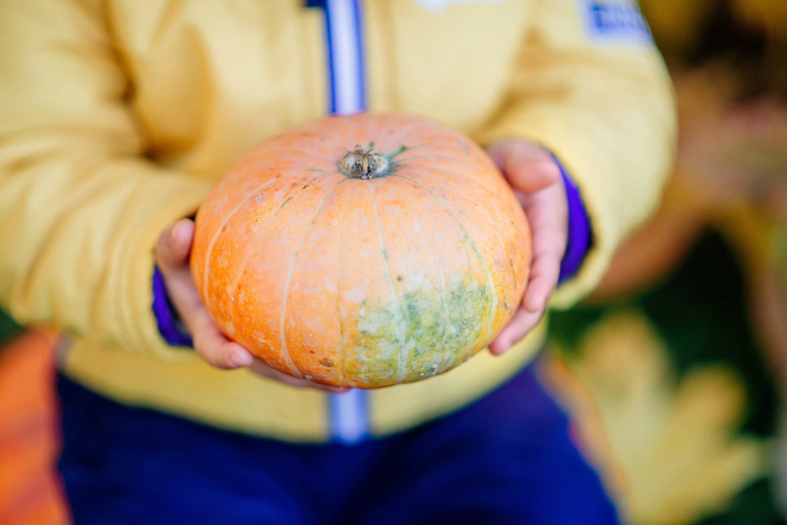 Осенние фотосессии. Семейный и свадебный фотограф Семенова Инна