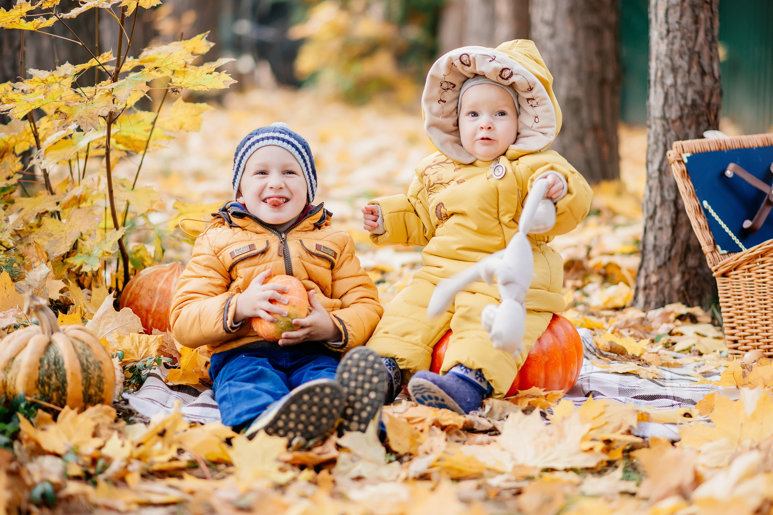 Осенние фотосессии. Семейный и свадебный фотограф Семенова Инна