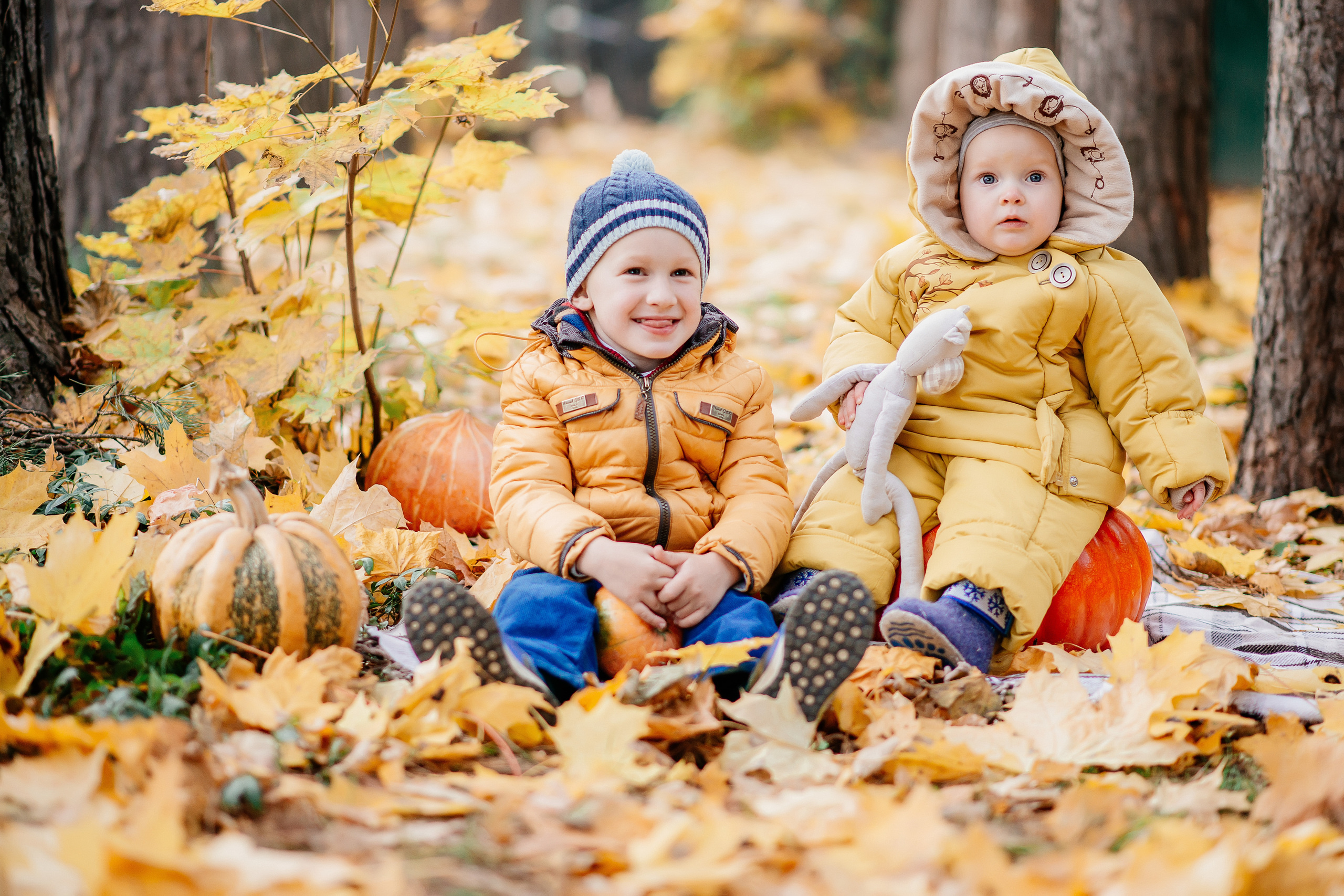 Осенние фотосессии. Семейный и свадебный фотограф Семенова Инна