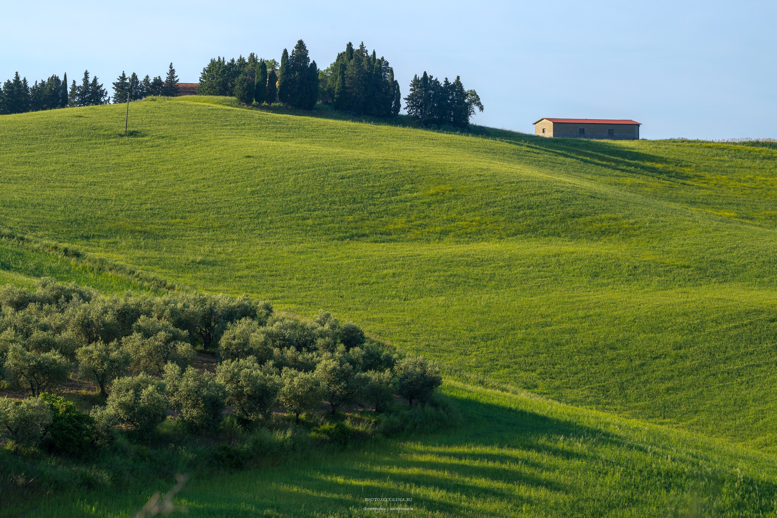 Долина Крете Сенези (Crete Senesi). Авторские стильные фотокартины