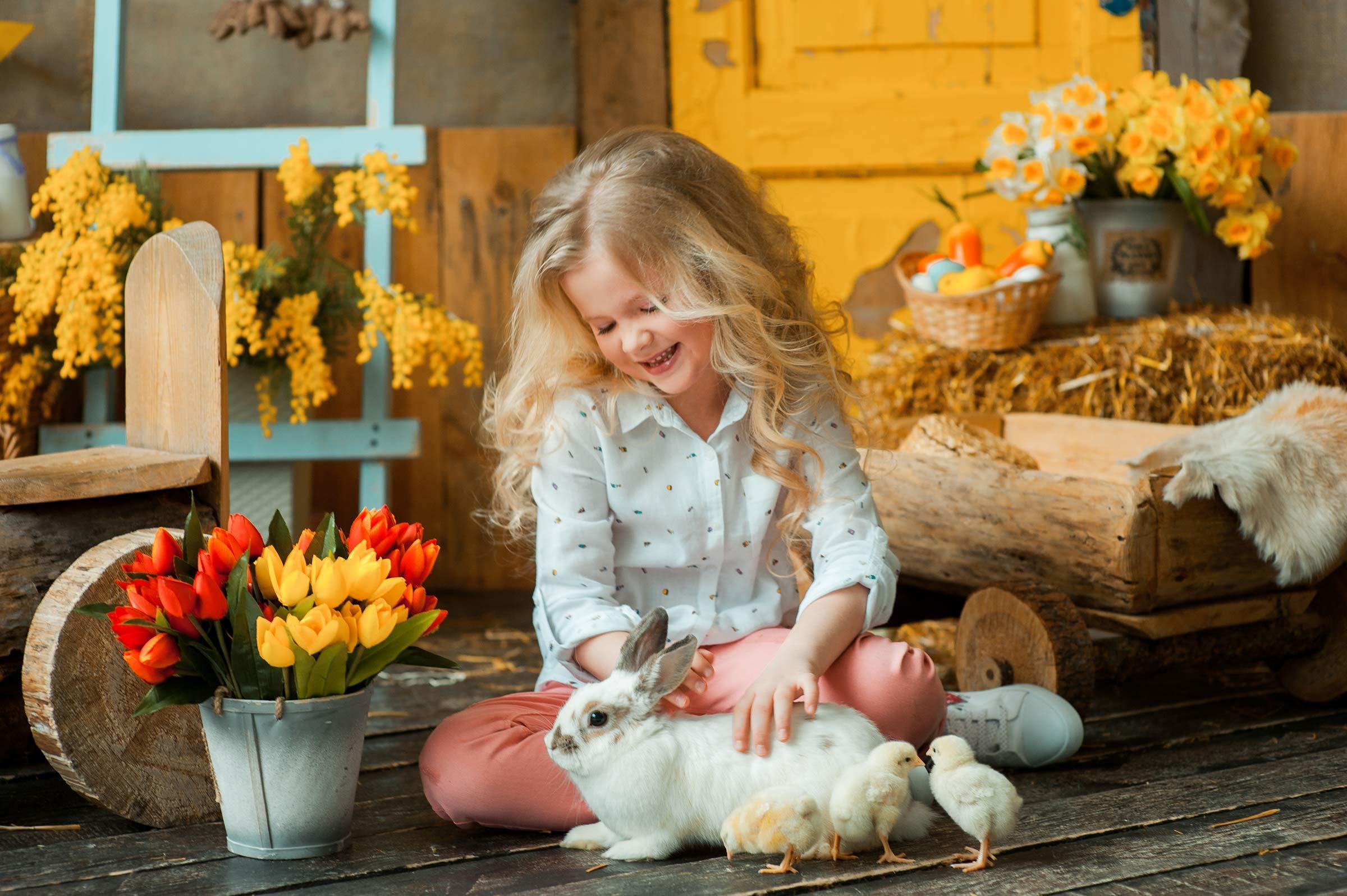 Фотосессия беременности, детская. Фотограф Алла Елисеева