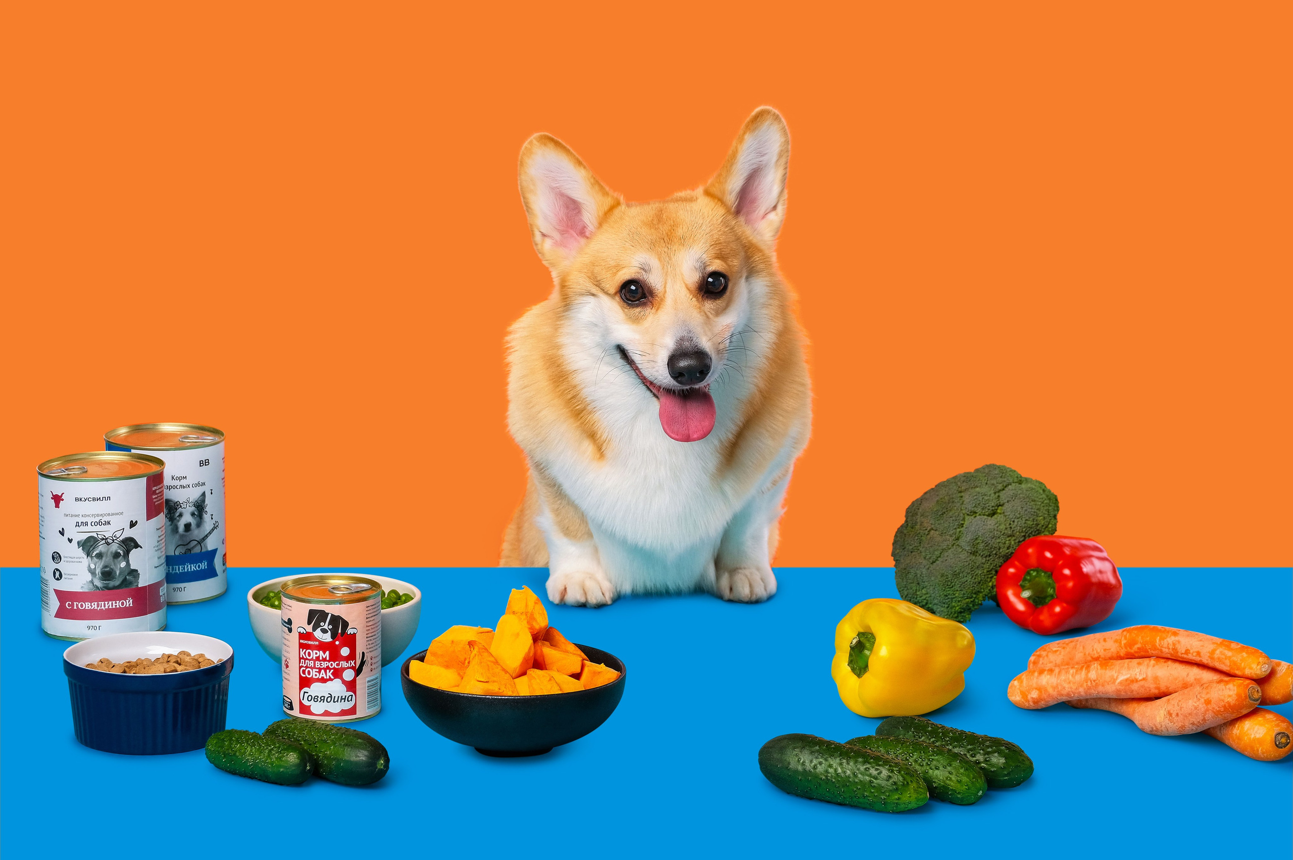 Постпродакшн и ретушь в Москве | Ретушёр Алина Колпакова