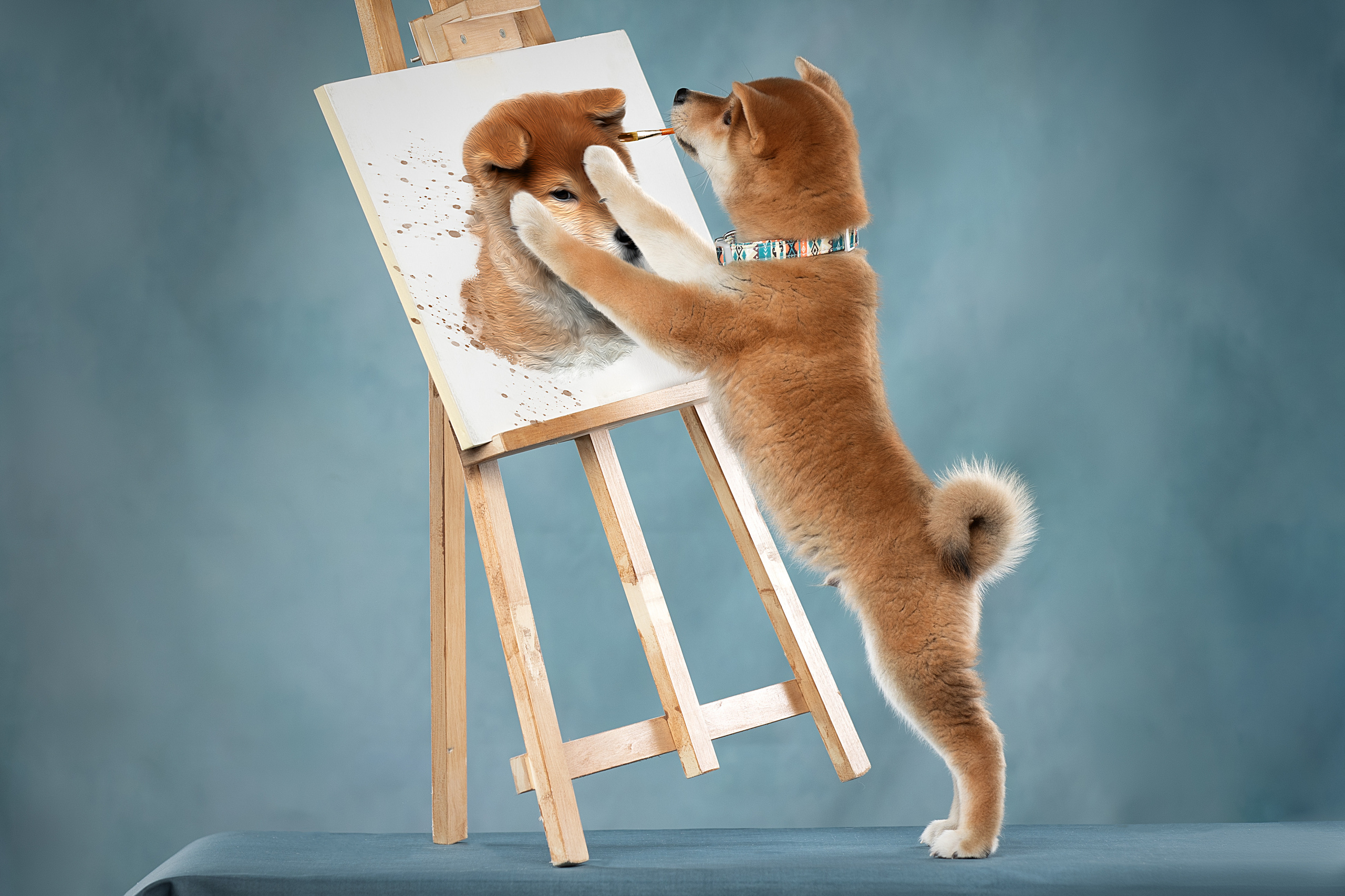 Фотограф анималист в Санкт-Петербурге Светлана Писарева