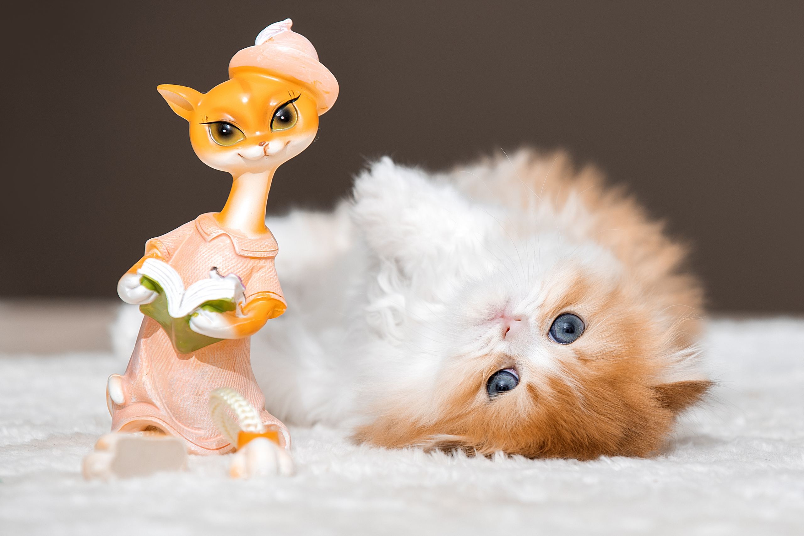 Фотограф анималист в Санкт-Петербурге Светлана Писарева