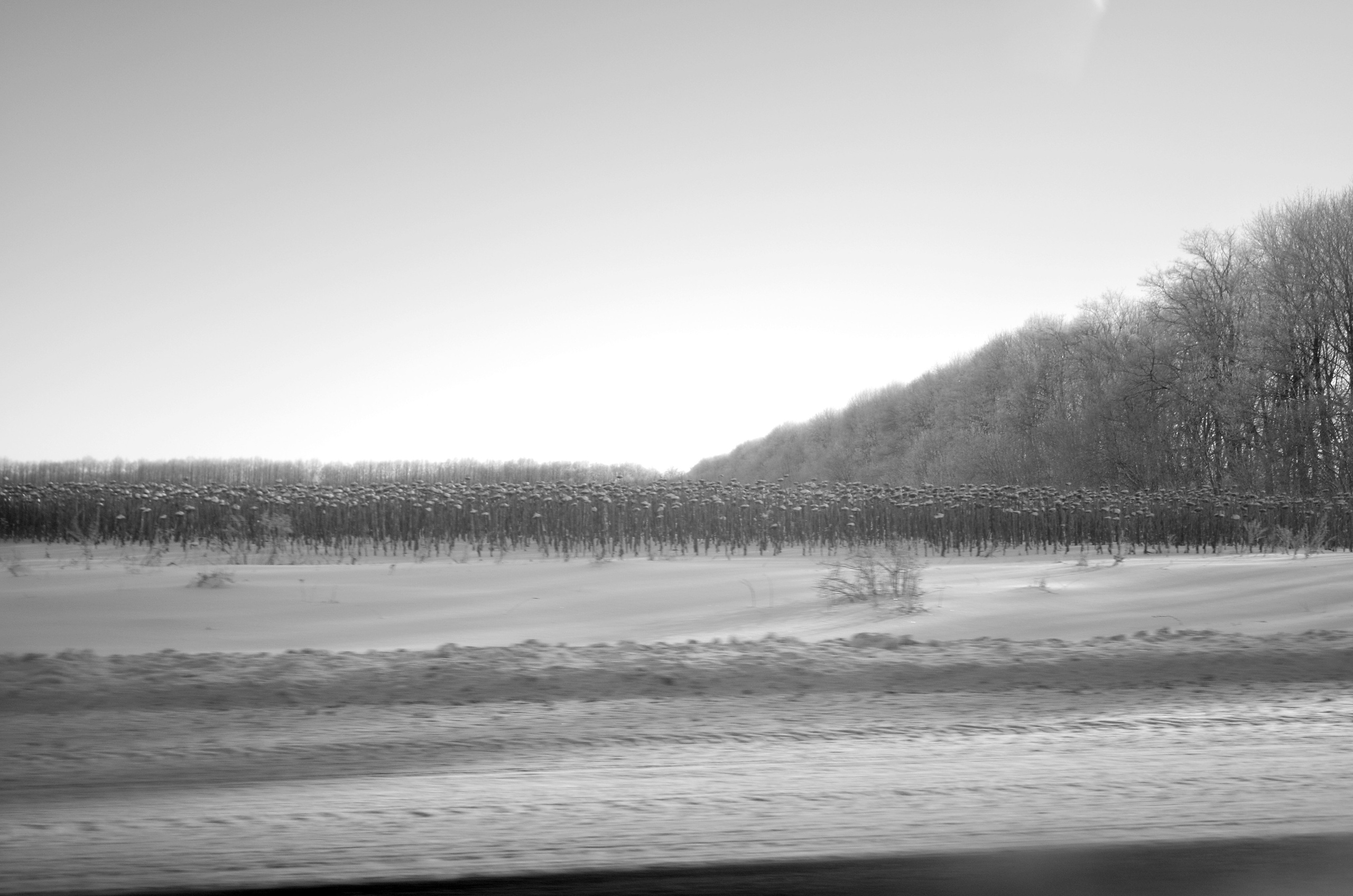 Дорожные работы🚸. Анна Хвалина