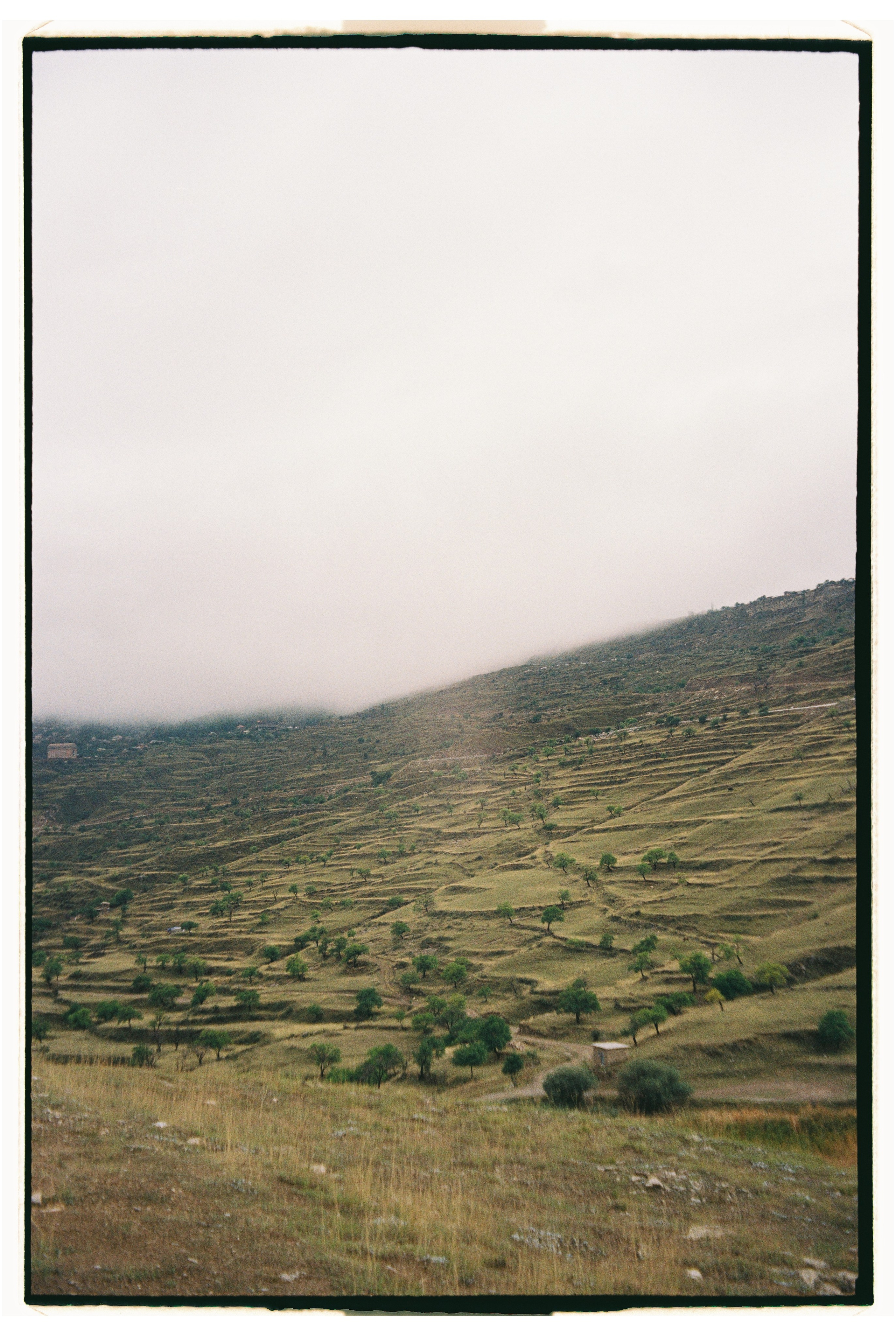 Заметки путешественника. Свадебный фотограф Елизавета Беляева