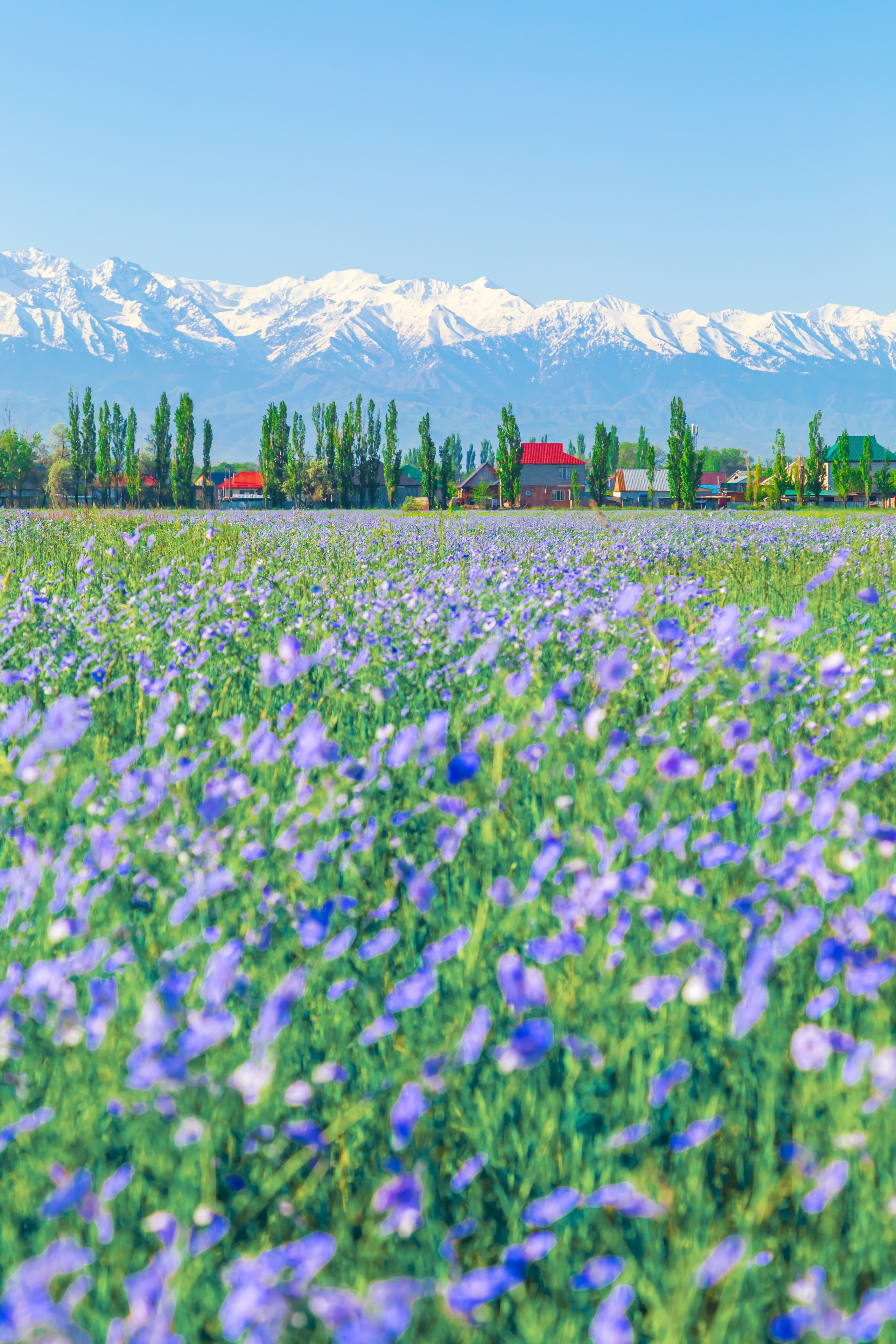 Тревел-фотограф Елизавета Ларионова