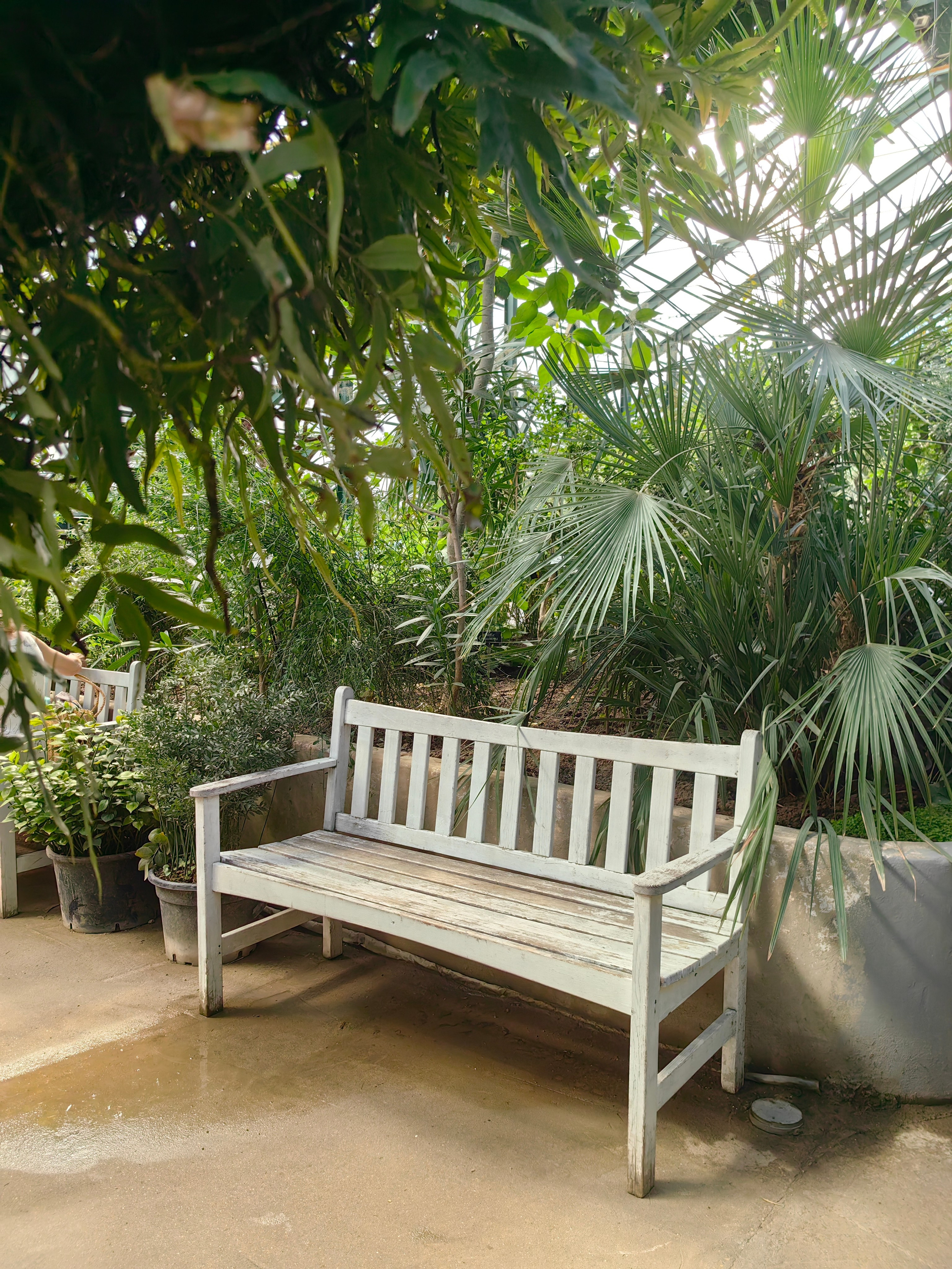 Парк АПТЕКАРСКИЙ ОГОРОД обзор. Фотограф в Москве и Московской области (Ю-В) Олеся Макарова