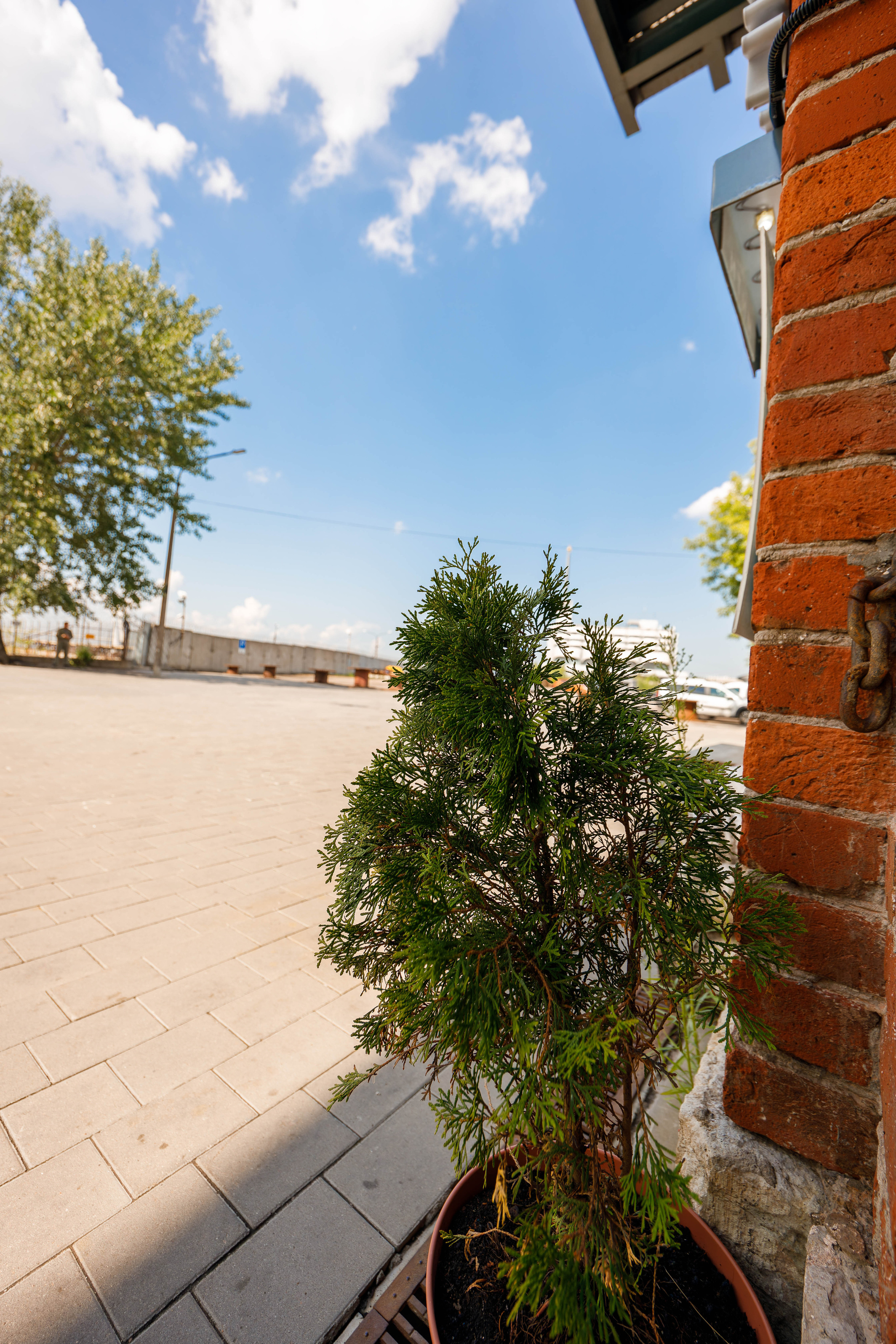 Mntncoffee. Фотограф Балаев Михаил