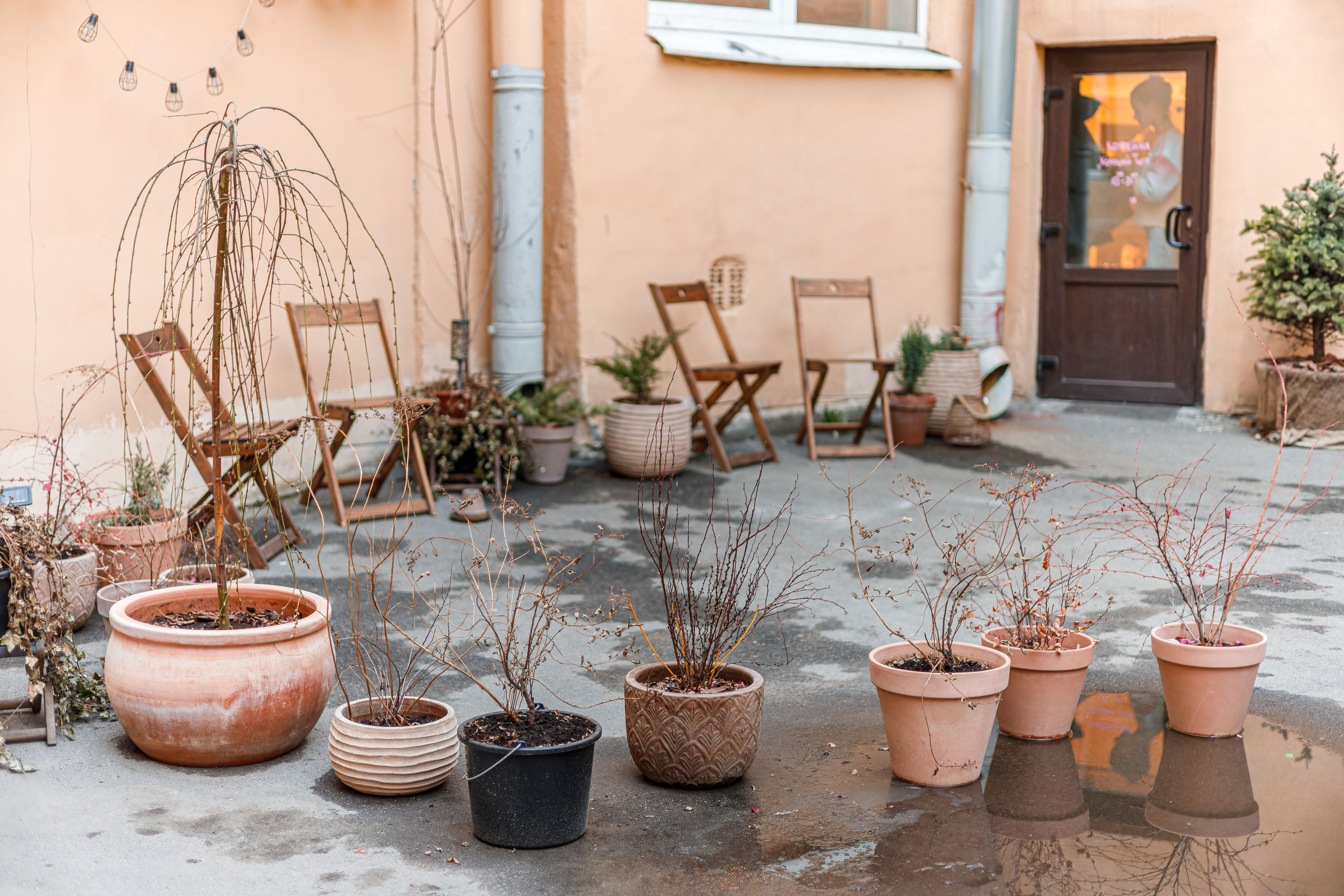 Кофейня Хороший тигр. Фотограф Балаев Михаил