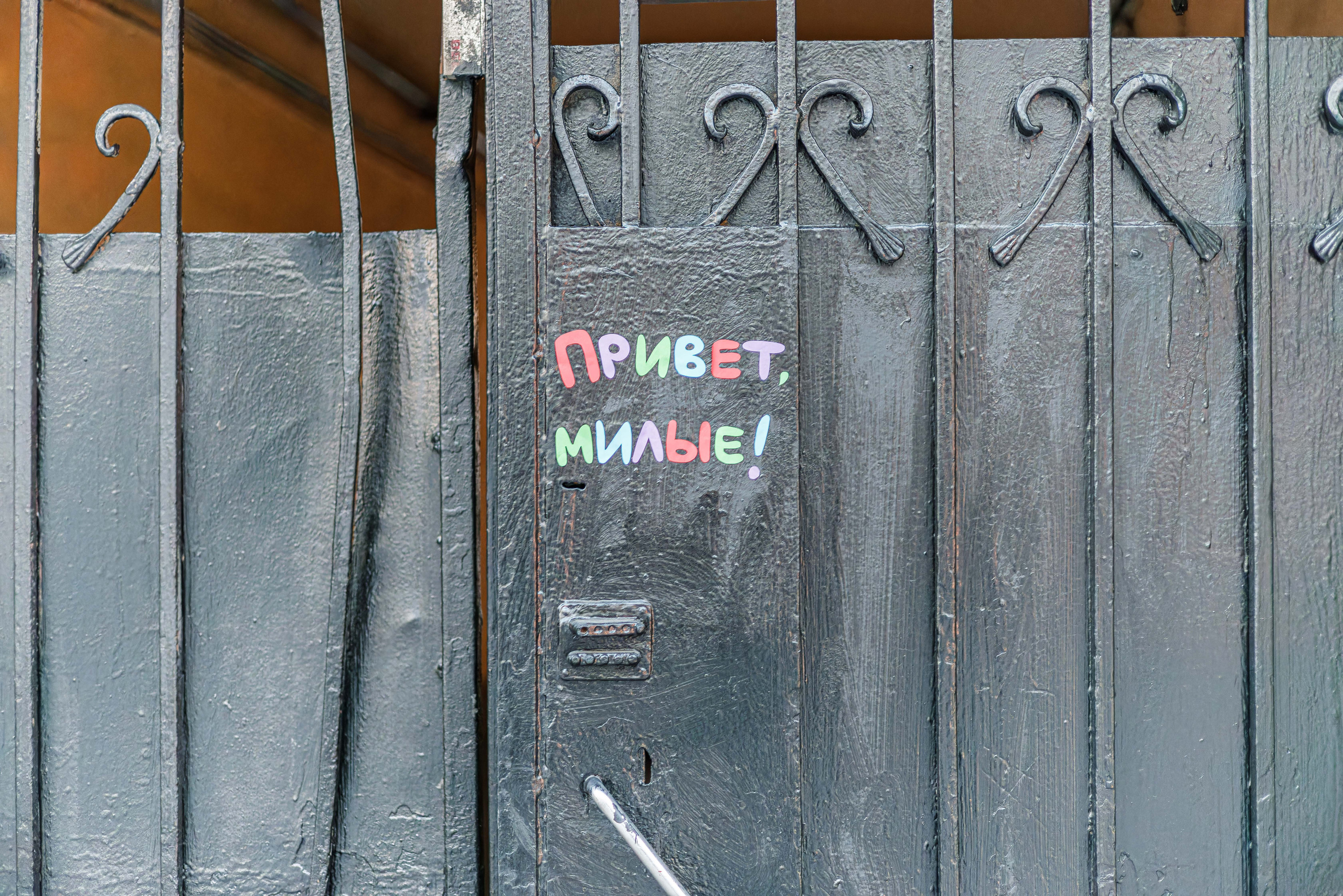 Кофейня Хороший тигр. Фотограф Балаев Михаил