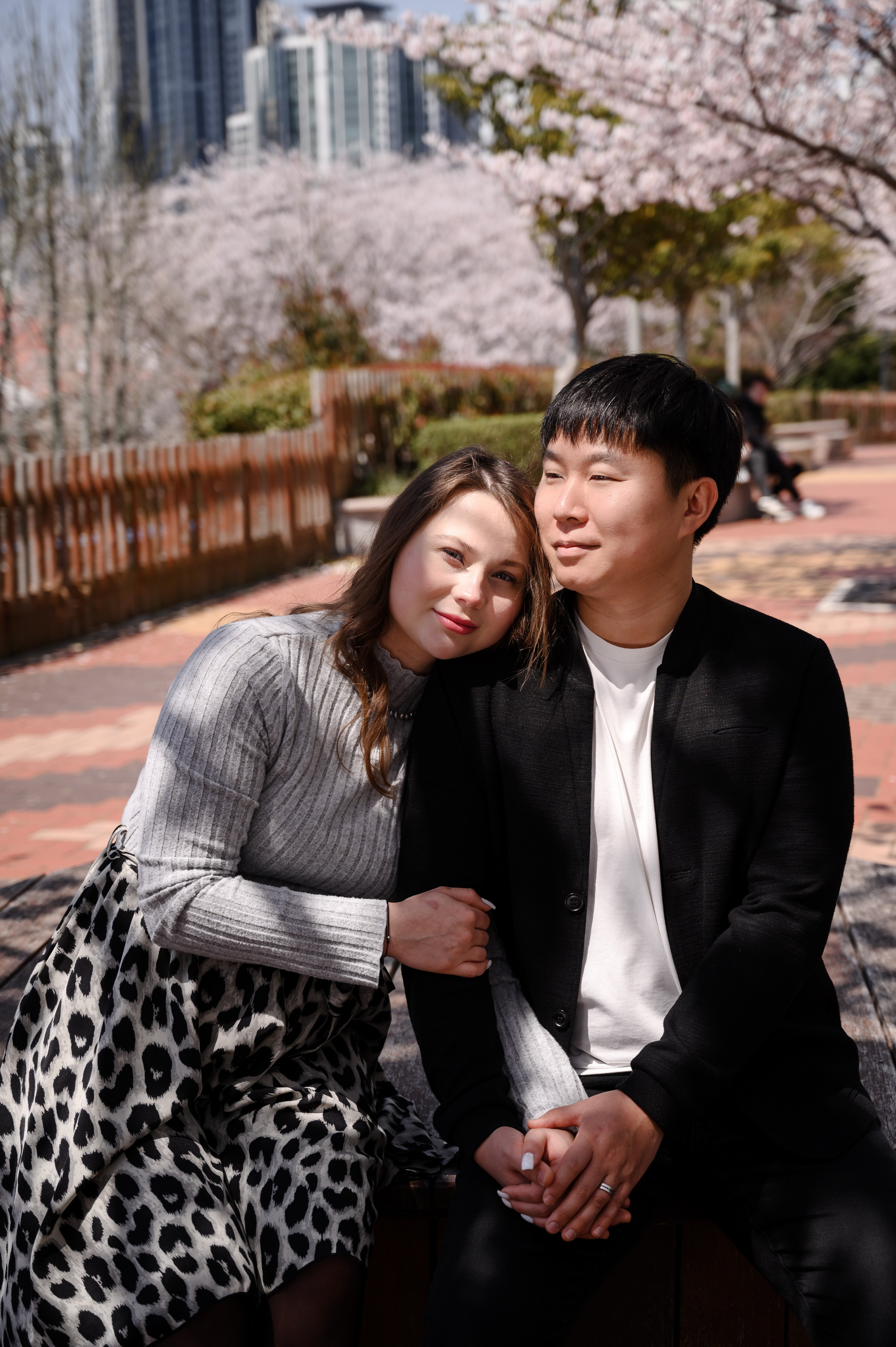 Couple love story photoshoot under sakura trees in Busan