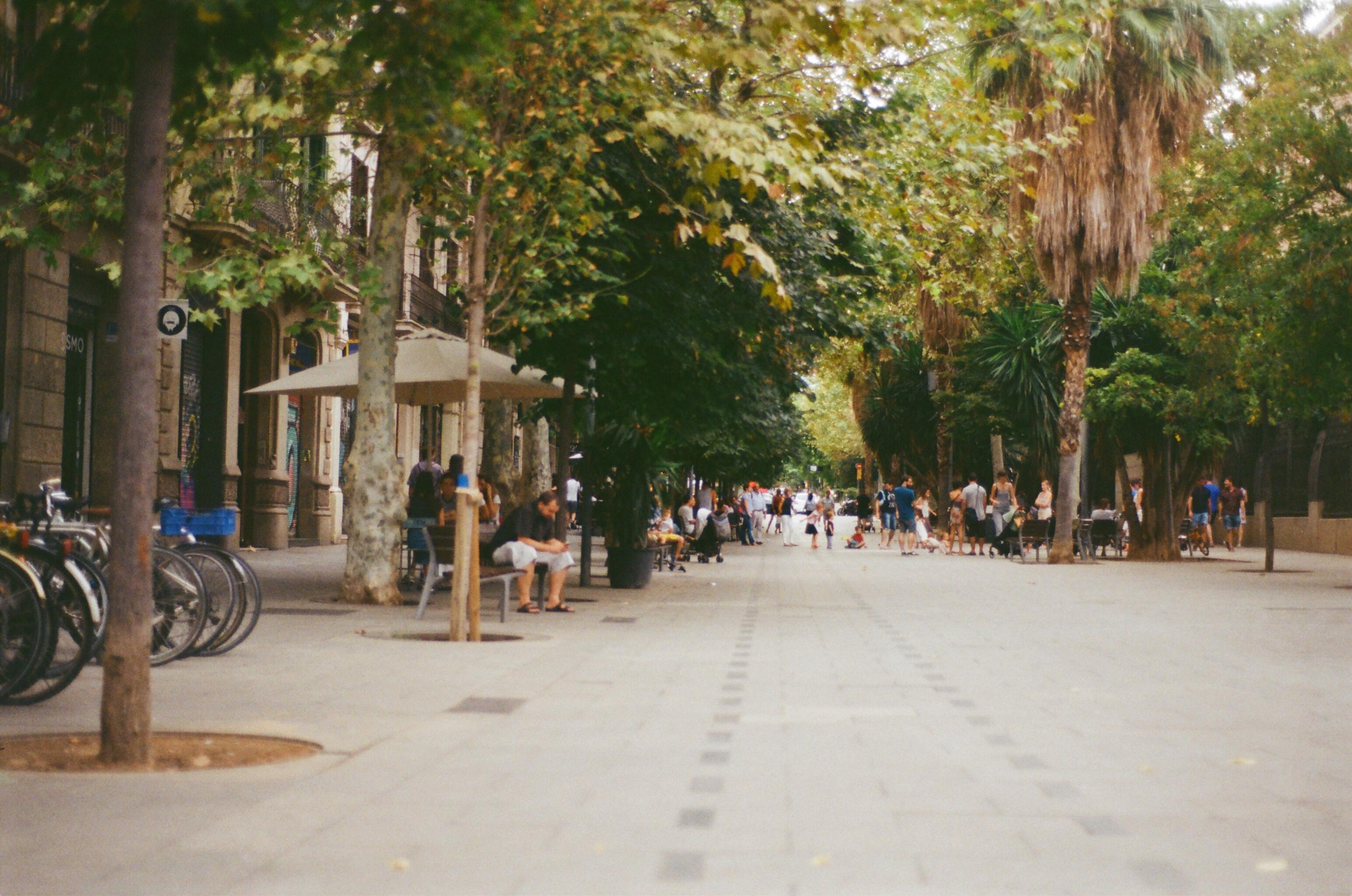 Путешествие по Испании в плёнке. Семейный и портретный фотограф в Москве Елена Флегант