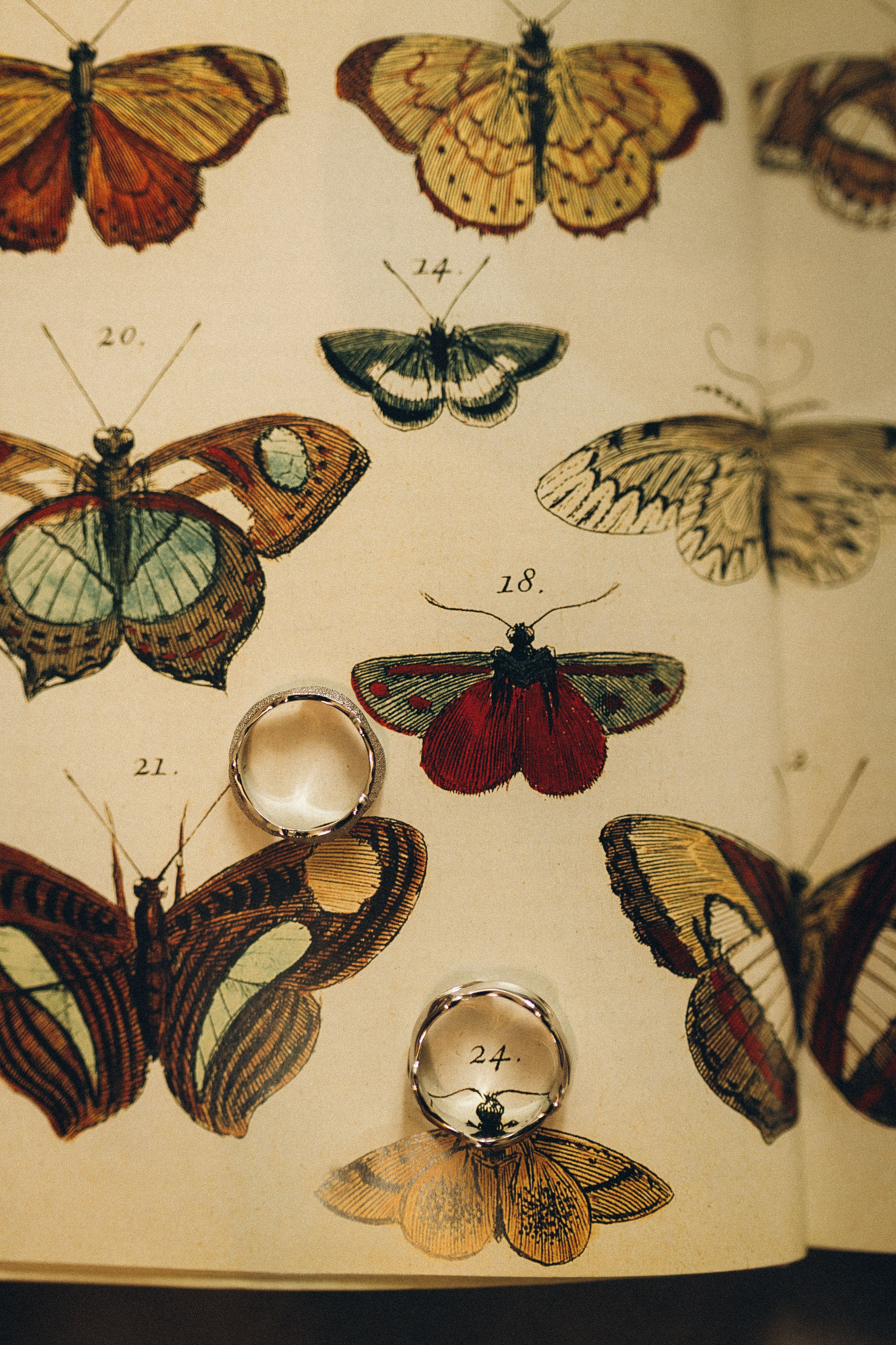 Фотограф Анастасия Платонова | Санкт-Петербург