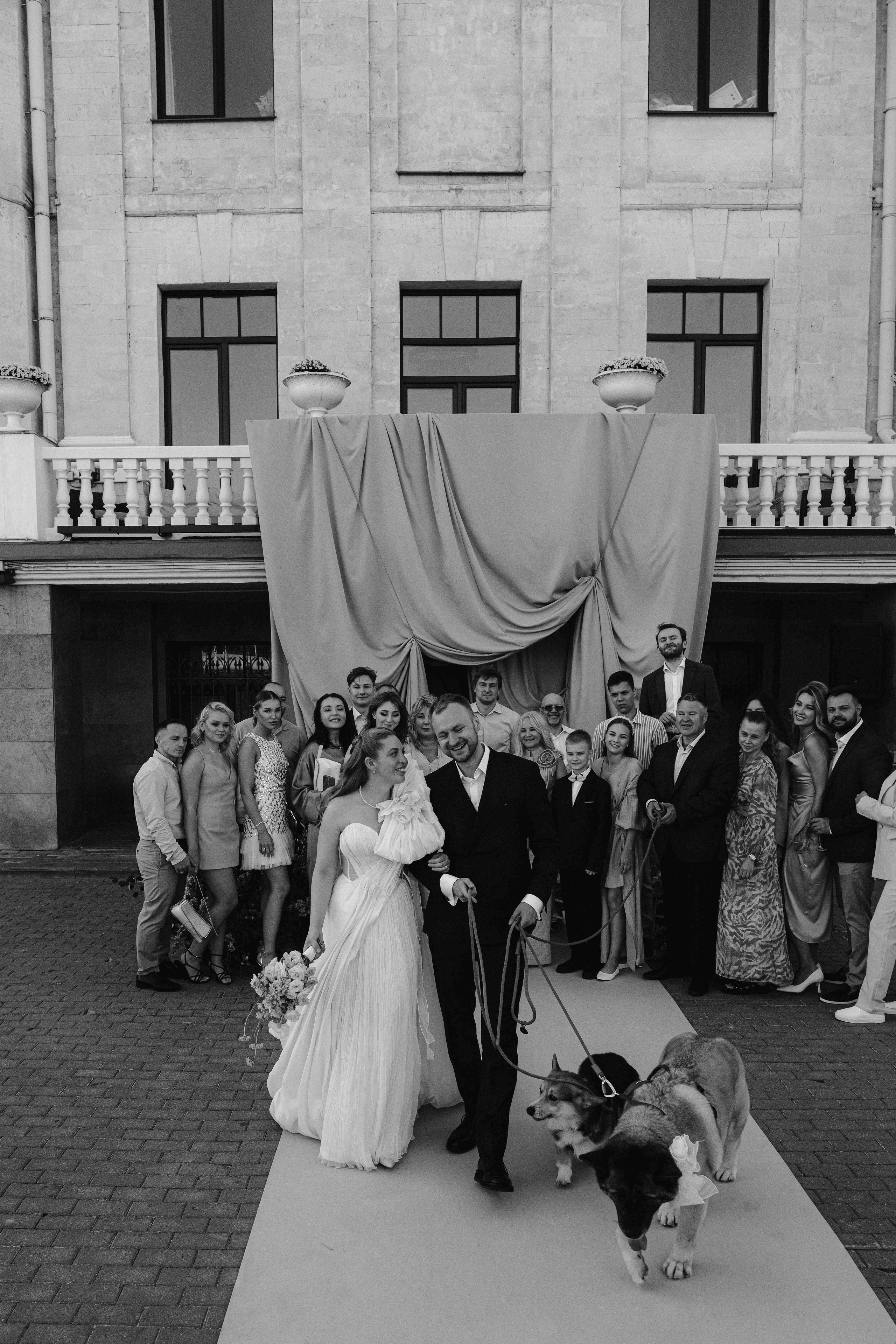 Love&Paws. Сентиментальная свадебная фотография