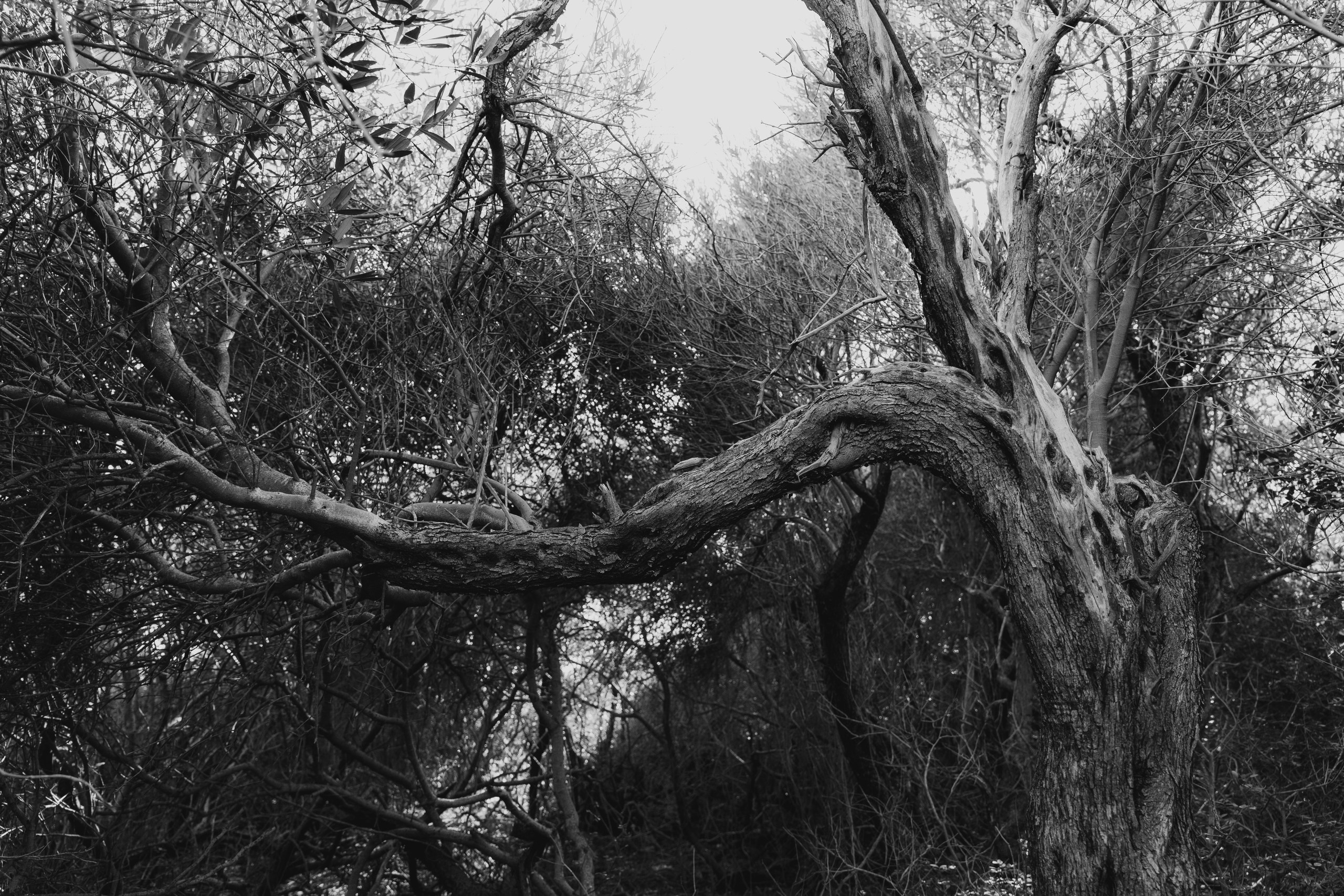 ликийская тропа