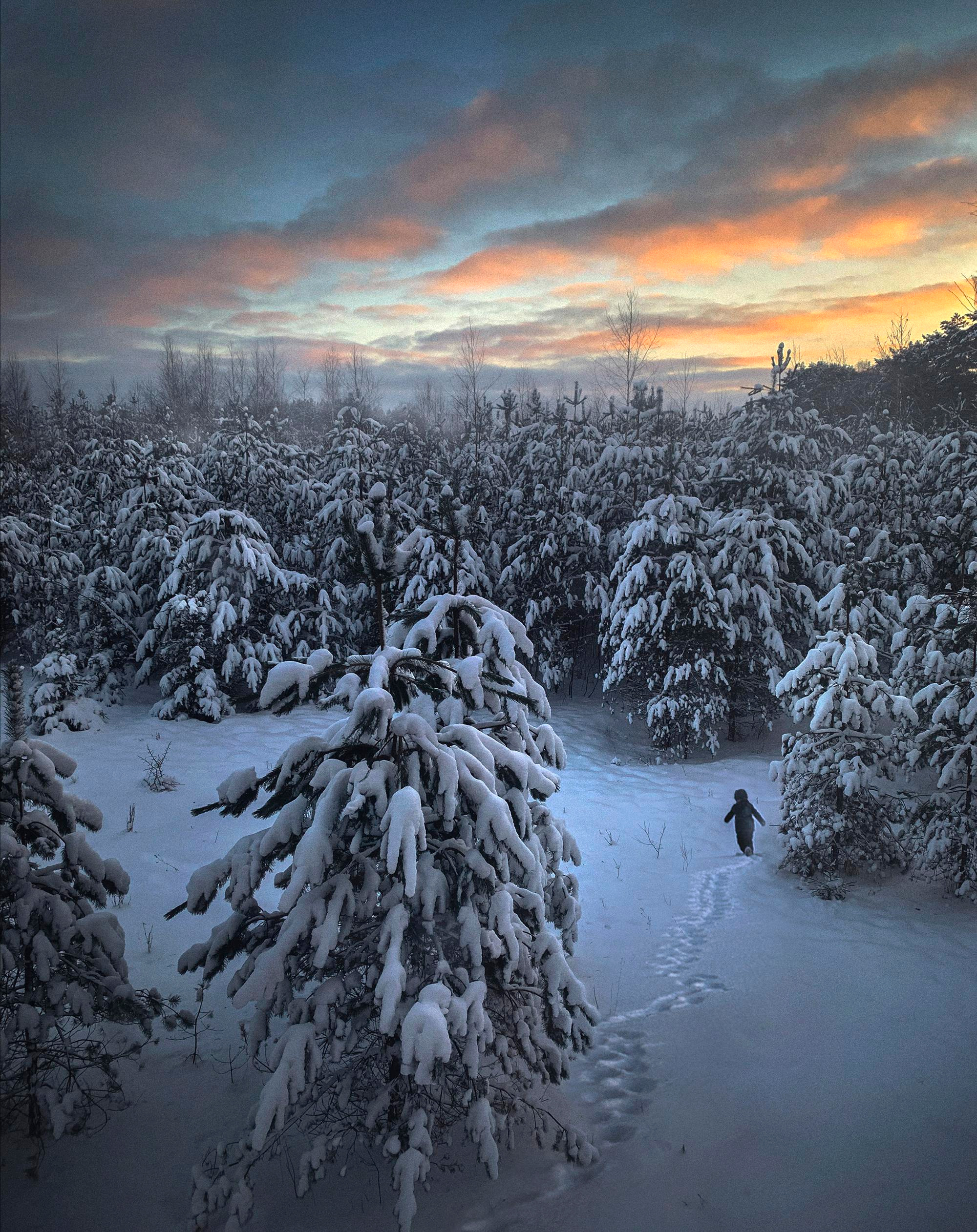 Создание фото и видео на смартфон. Елена Шумилова
