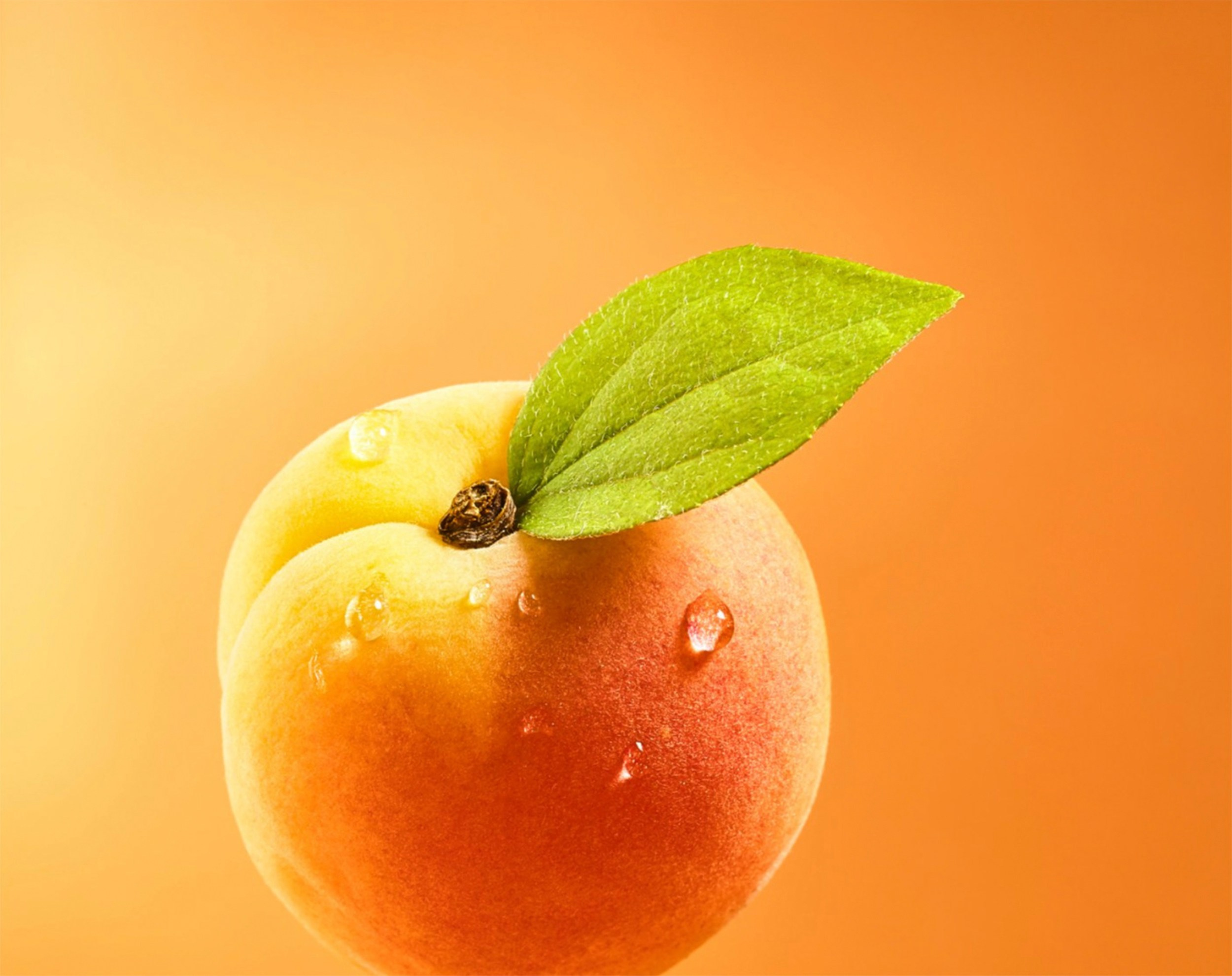 Евгений Петровский — Фуд-съемка и предметная съемка в Москве