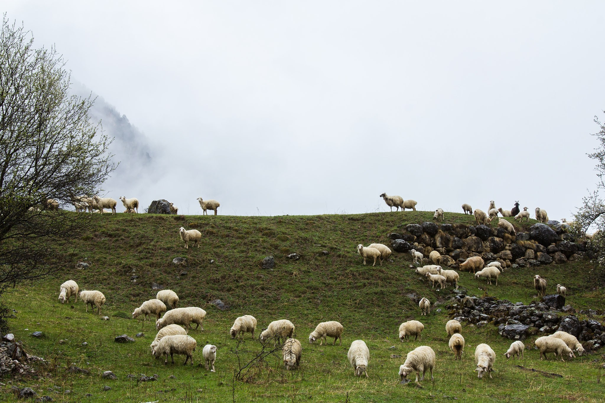 Travel-фотограф Ирина Милинцова