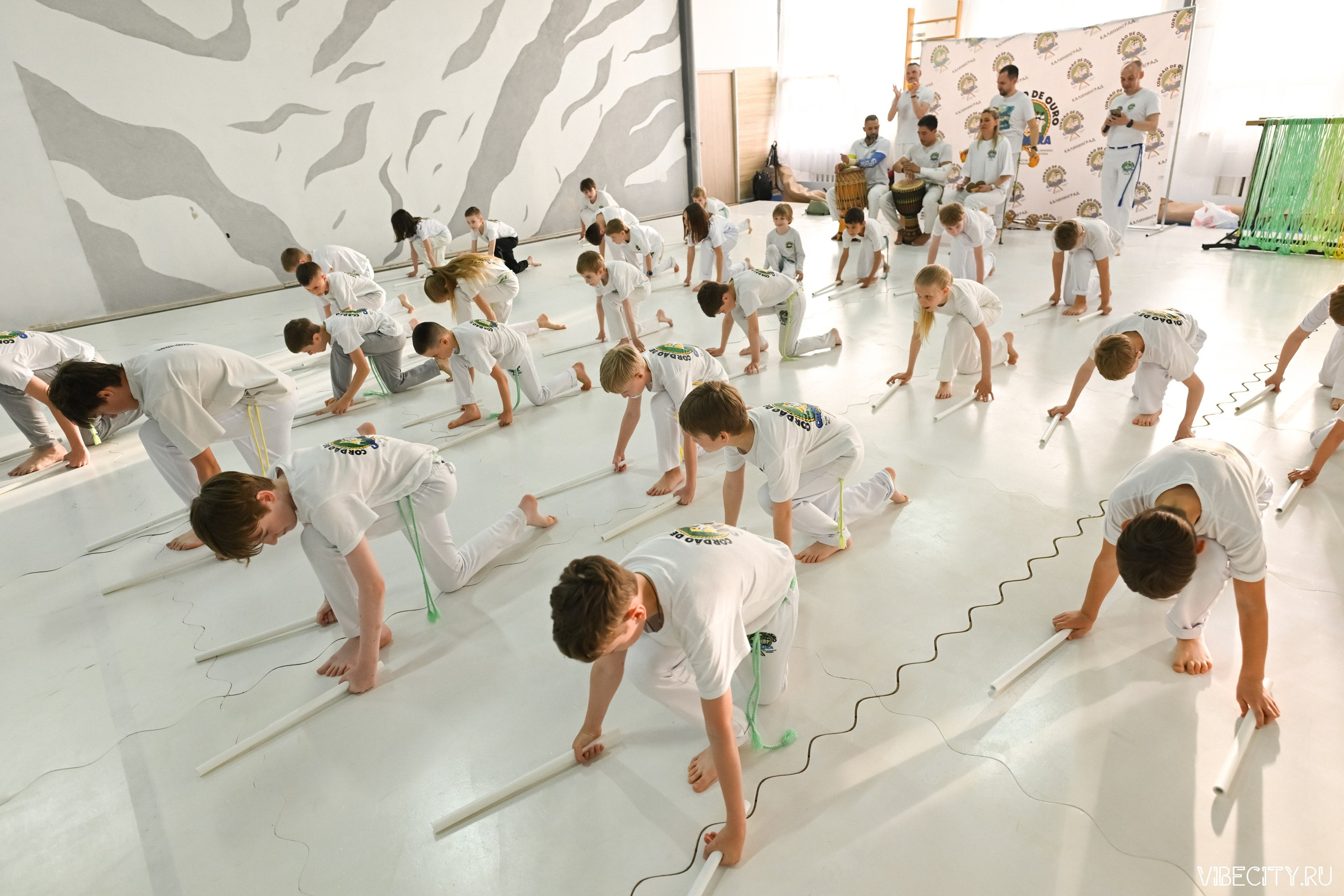 Capoeira: 4-е batizado e Troca de cordao. VIBECITY.RU Вайб Сити Ру Фоторепортажи Фотоотчеты Калининград