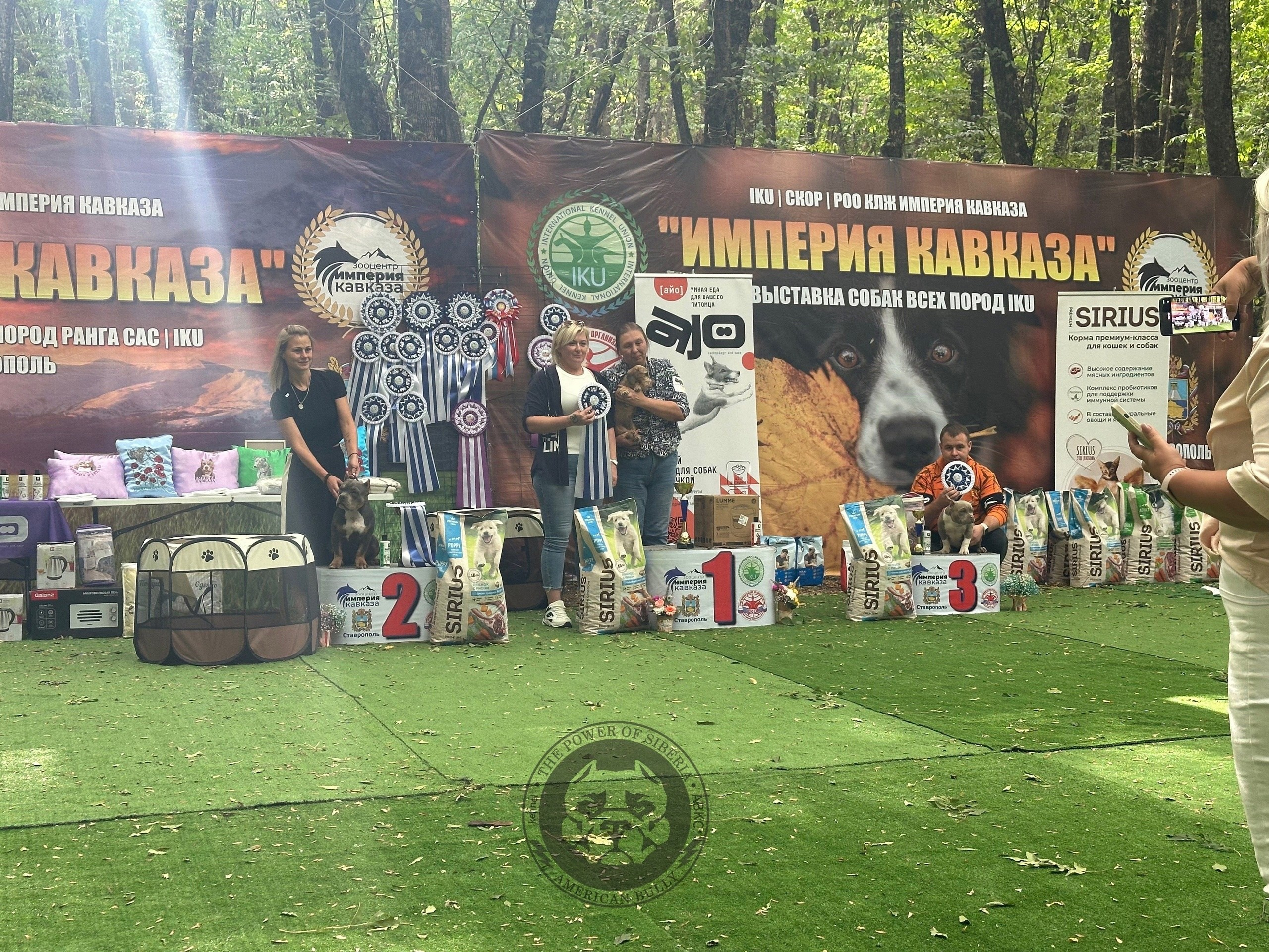 американский булли Юг, американский булли южный округ, лучшие американские булли на юге россии, топовые булли в россии, топовые американские булли в россии, ТОП булли, Топ американский булли, самые крутые американские булли, булли клаccик, булли покет, булли стандарт, булли экзот, булли xl, амeриканский булли, щенок булли, американский булли питомник, американский булли купить, американский булли щенок, американский булли москва, американский булли ростов-на-дону, американский булли краснодар, американский булли ставрополь, американский булли волгоград, американский булли семфирополь, американский булли ставрополь, американский булли сочи, американский булли воронеж, американский булли питер, американский булли санкт-петербург, американский булли Казань, американский булли Новосибирск, американский булли Челябинск, американский булли Ростов, американский булли Луганск, американский булли Донецк, американский булли покет, американский булли классик.американский булли ,американский булли щенки , американский булли купить ,американский булли фото , американский булли покет , собака американский булли , порода американский булли , американский булли цена , купить щенка американского булли ,американский булли характеристика , порода собак американский булли, питомник американских булли , американский булли отзывы, американский булли стандарт , американский булли отзывы владельцев, американский булли xl , россия американские булли , американские булли москва , американский булли вес , американский булли цена щенка, американский булли породы собак сша , американский булли размеры , американский булли классик , американский булли классика , американский булли характеристика породы , авито американский булли , сколько стоит американский булли , окрасы американских булли , американский булли виды , американский булли типы , американский булли цена в россии , американский булли экзот , американский булли микро , американский булли мини , собака американский булли фото , американский булли спб , американский булли характер , минусы американского булли , купить американского булли в москве , американские булли сколько щенков , плюсы американского булли , американский булли плюсы и минусы , взрослый американский булли , американский булли фото цена , американский булли фото щенков , американский булли крым , сколько живут американские булли , американский булли описание , американский булли купить авито , американский булли ростов , собачий питомник , питомник для собак , собаки , порода , щенки, щенок для детей, щенок для ребенка, щенок для семьи, собака для ребенка, питомник BULLY LOVERS, питомник THE POWER OF SIBERIA, питомник Ultimate Bully, питомник FORTIS FORTUNA VALIDI, питомник EXTREME BEAR, питомник American Dream, Питомник RUSSIAN BULLS, питомник ТАРУС & BULLY LAND, питомник Bully Ranch P&N, Питомник ANTREABULLS, питомник Ambully House, питомник Mar Nero, питомник Alfabulls, #micro #microbully #ambully #ambullys #ambullylife #ambullyforlife #ambullyworld #ambullylove #ambullylover #ambullylovers #ambullyloversfans #americanbullybreed #americanbullykennelclub #американскийбуллипитомник #bullies #bulliesallday #bulliesofig #bulliesofinsta #bulliesofinstagram #instabullies #bullieslife #bullymag #americanbully_feature #americanbullydog #tribullies #americanbullyblue #americanbullytricolor #bullystick #americanbullyStud, американский булли,американский булли щенки,американский булли купить,американский булли покет,американский булли фото,собака американский булли,порода американский булли,американский булли цена,американский булли купить щенка,американский булли характеристика,порода собак американский булли,американский булли отзывы,питомник американских булли,американский булли стандарт,американский булли отзывы владельцев,россия американские булли,американский булли виды,американский булли цена щенка,сколько стоит американский булли,американский булли цена в россии,американские булли москва,американский булли xl,американский булли размеры,типы американских булли,американский булли мини,американский булли вес,авито американский булли,американский булли породы собак сша,американский булли микро,американский булли характеристика породы,американский булли экзот,американский булли классик,американский булли классика,собака американский булли фото,американский булли характер,минусы американского булли,американские булли спб,американский булли окрасы,американский булли купить в москве,американские булли сколько щенков,плюсы американского булли,американский булли видео,американский булли плюсы и минусы,американский булли щенок фото,взрослый американский булли,американский булли девочка,американский булли описание,сколько живут американские булли,американский булли покет купить,американский булли крым,american bully,american bully ru,american bully ru shchenki,https american bully ru,https american bully ru shchenki,american bully xl,american bully питомник,american bully dog,american bully kennel,american dream bully,american bully pocket,american bully kennel club,all american bully фильм смотреть,american bully xxl,reddit american bully,american bully ru shchenki html,american bully wise,celina innovations crochet american bully part,https american bully ru shchenki html,american bully classic,питомник американских булли,питомник собак американский булли,питомник американских булли в крыму,питомник собак в крыму американские булли,питомник в крыму американский булли последние,питомник американских булли в москве,американские булли купить питомник,питомник американских булли в россии,питомник американских булли покеткупить щенка американский булли питомник,американские булли цена питомники,питомник американских булли в спб,питомник американских булли яна,купить американского булли в москве питомник,питомник американских булли в москве и московской,официальные питомники американских булли,крым питомник американских булли яна,булли американский купить питомник цена,москва и область питомники американских булли,питомник американских булли яна и гоша,американские булли подмосковья питомник,американский булли стандарт питомник,питомник американских булли екатеринбург,питомник американских булли ростов,лучшие питомники американских булли,питомник собак крым американский булли яна,яна питомник собак американский булли,американский булли купить в спб питомник,американский булли питомник львиное сердце уфа,американский булли питомник львиное сердце уфа вк,американский булли лучший питомник россии,американский булли питомник краснодар,американский булли купить спб щенка питомник,американский булли покет питомник москва,американский булли сайт питомник,питомник американский булли официальный сайт,питомник американских булли в челябинске,питомники американских булли в россии список лучших,питомник собак американских булли серпухов,питомник собак дзен американский булли,американский булли xl питомник,питомник американских булли в талдоме,питомник и цена американ американский булли,фаворит гигант питомник американских булли,американский булли купить,американский булли купить щенка,американский булли купить в москве,американский булли покет купить,американский булли купить щенка в москве,американский булли купить авито,купить американский булли цена,купить американского булли в спб,купить собаку американский булли,американский булли купить щенка цена,американский булли покет купить щенка,американский булли купить в беларуси,американский булли стандарт купить,американский булли купить москва московская область,купить американского булли в россии,купить американского булли в московской области,американский булли купить в екатеринбурге,американский булли купить в новосибирске,американский булли купить щенка в спб,