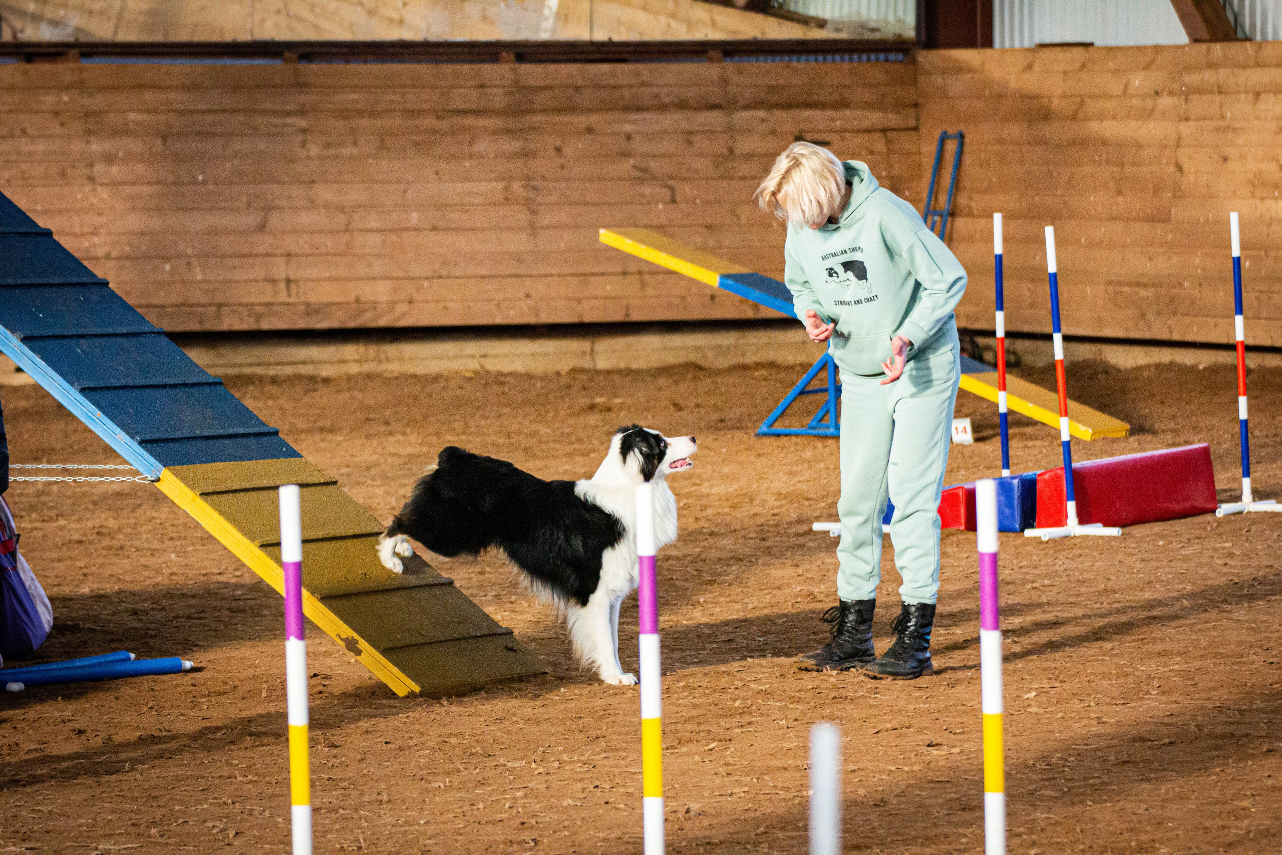 Гелий. BLGKV питомник собак