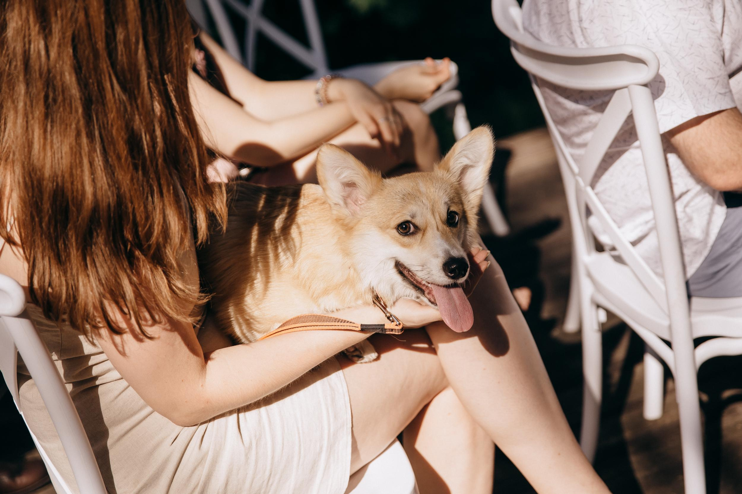 Денис+Катя. Свадебный и семейный фотограф в Москве Андрасюк Елена