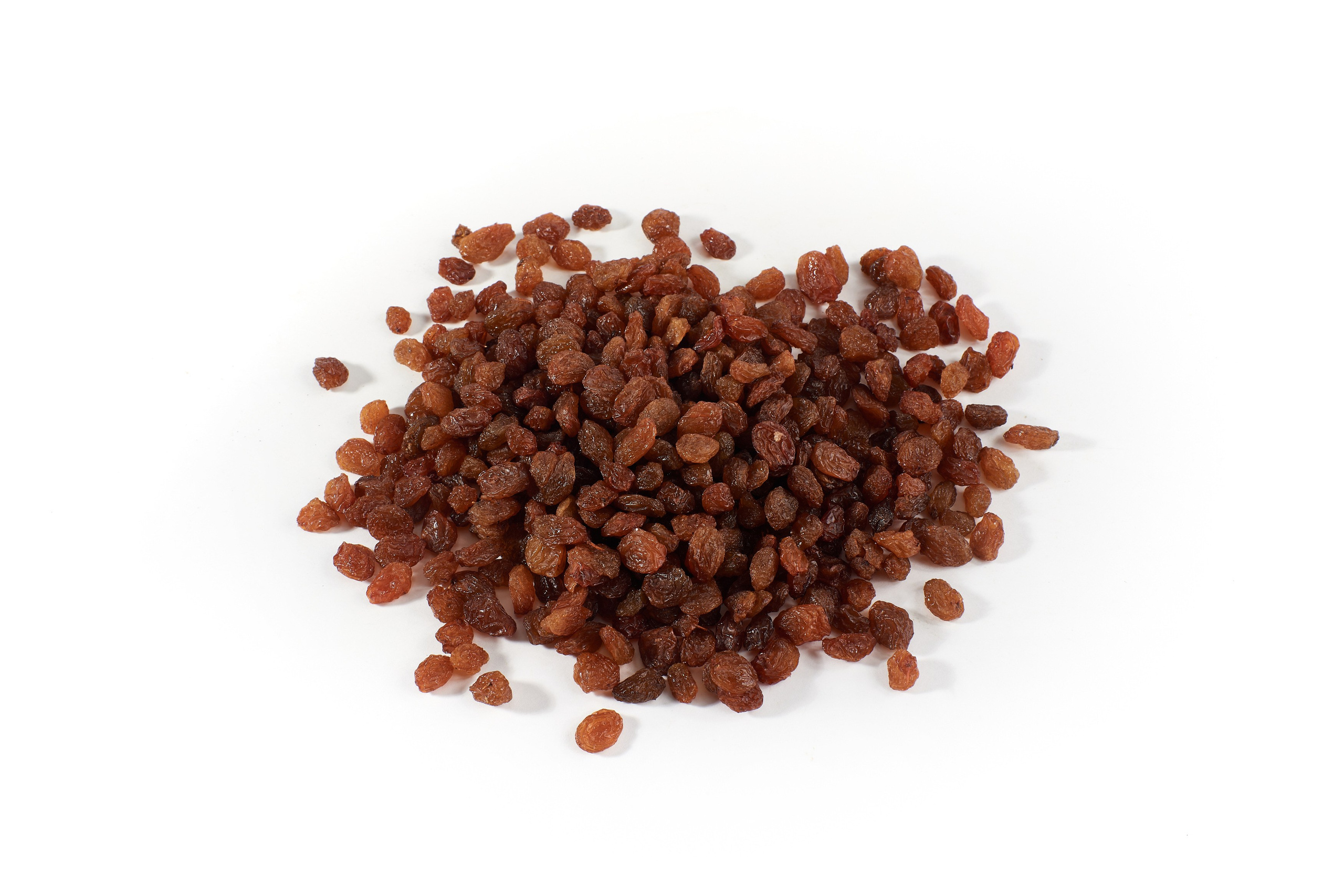 Nut4Life. Фотограф Сергей Бойко Москва