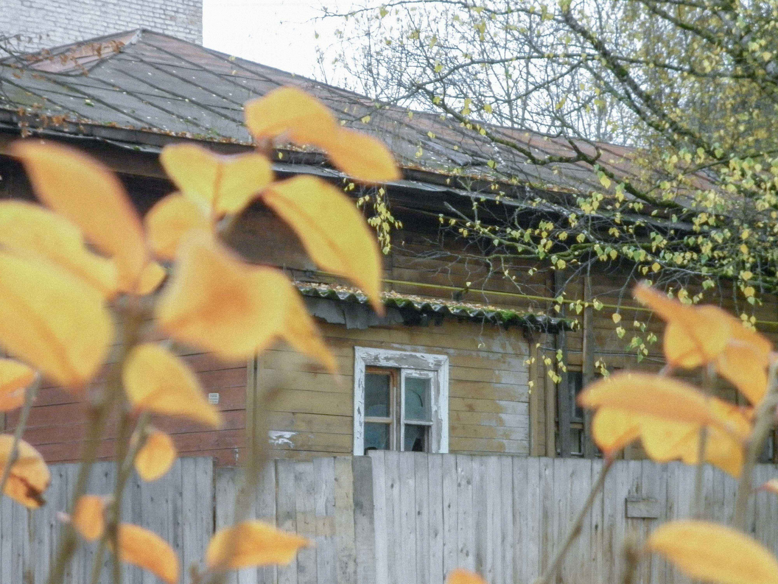 Я шёл и не видел…. Свадебный фотограф Смоленск