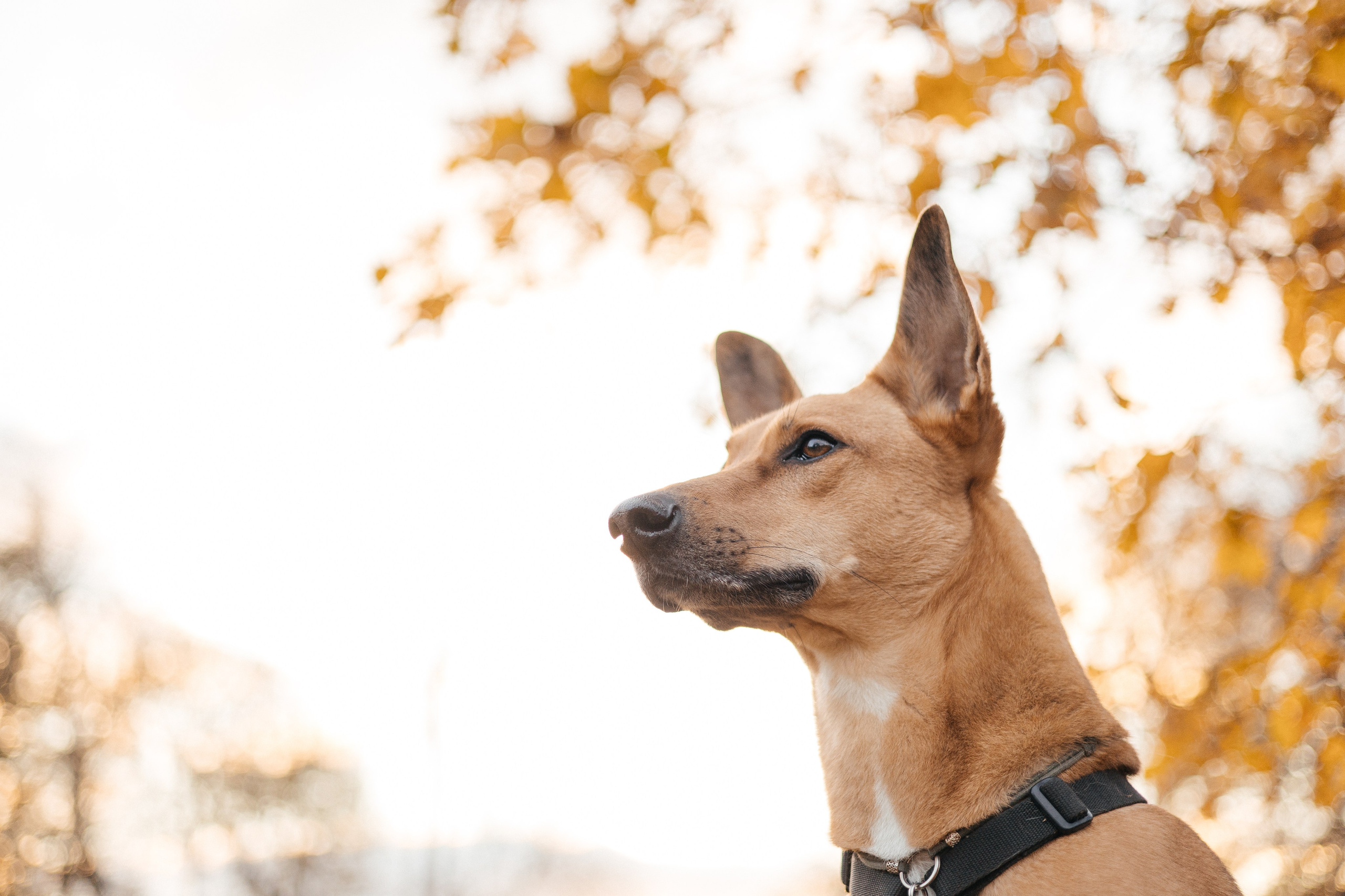Фотограф Анна Луценко Москва