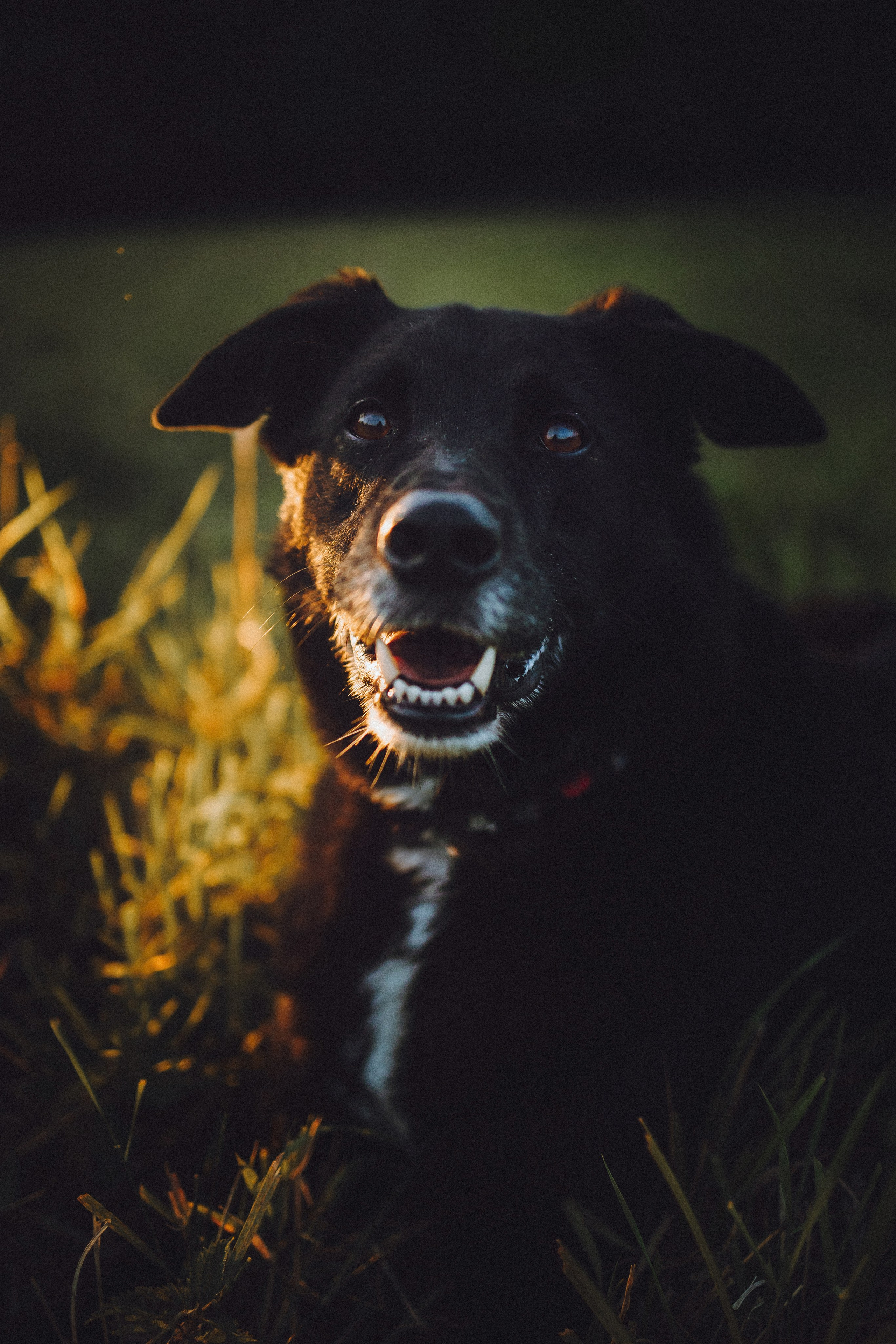 Лучшего времени, чем сейчас — не будет