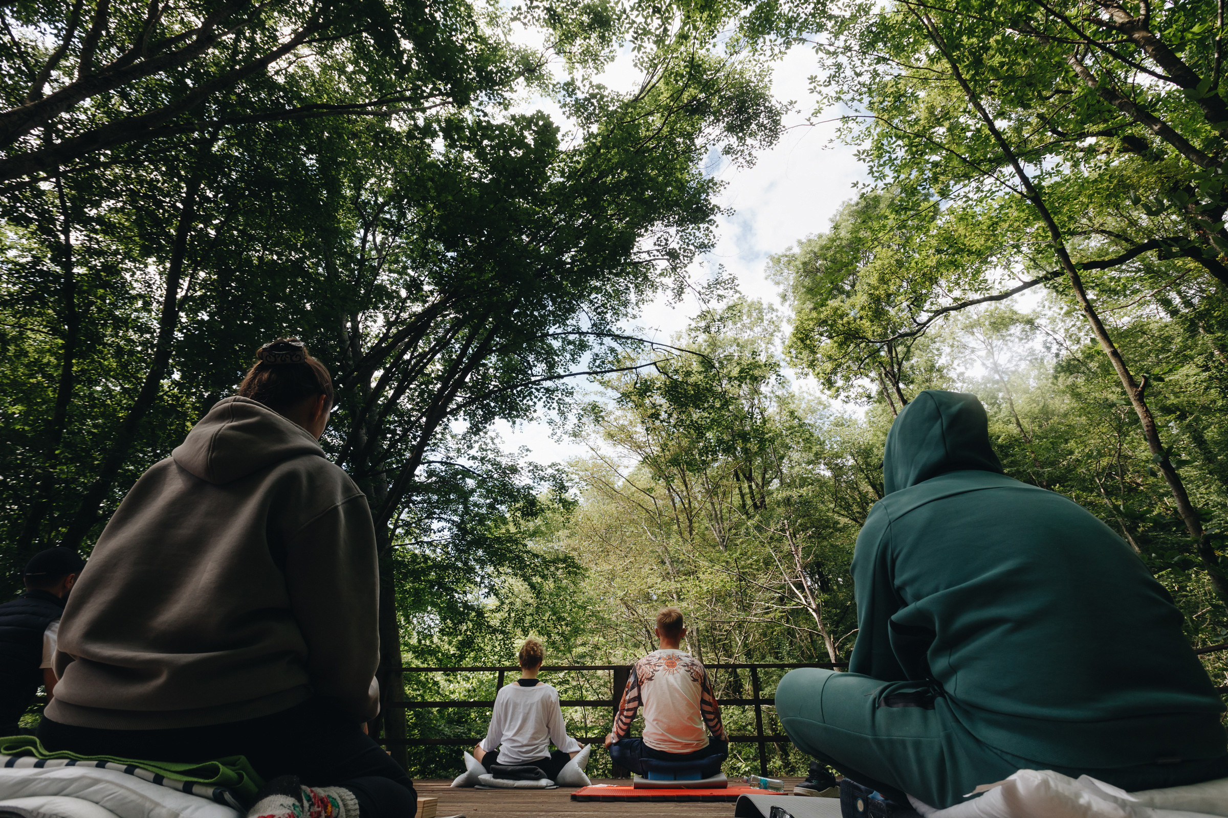 Випасса́на. Репортажный фотограф в Сочи и Москве Кирилл Гужвинский