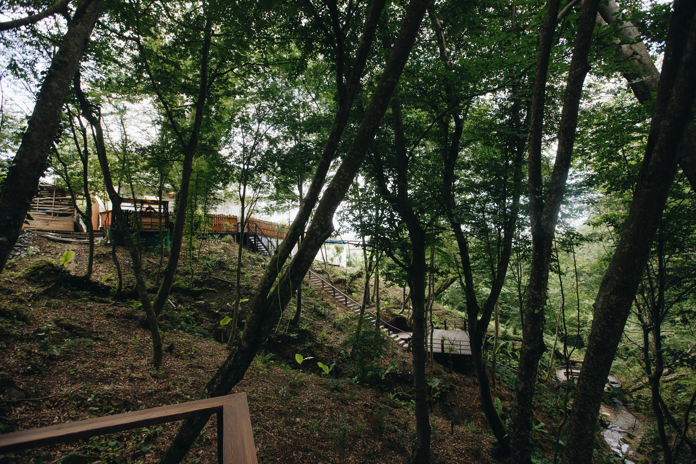 Випасса́на. Репортажный фотограф в Сочи и Москве Кирилл Гужвинский