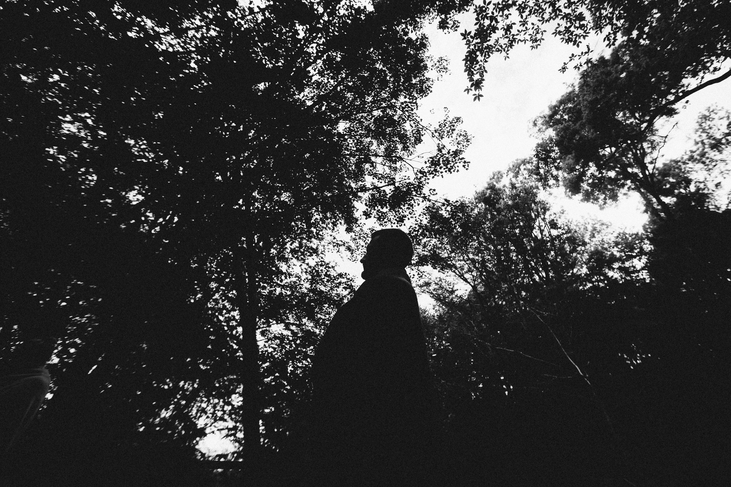 Випасса́на. Репортажный фотограф в Сочи и Москве Кирилл Гужвинский