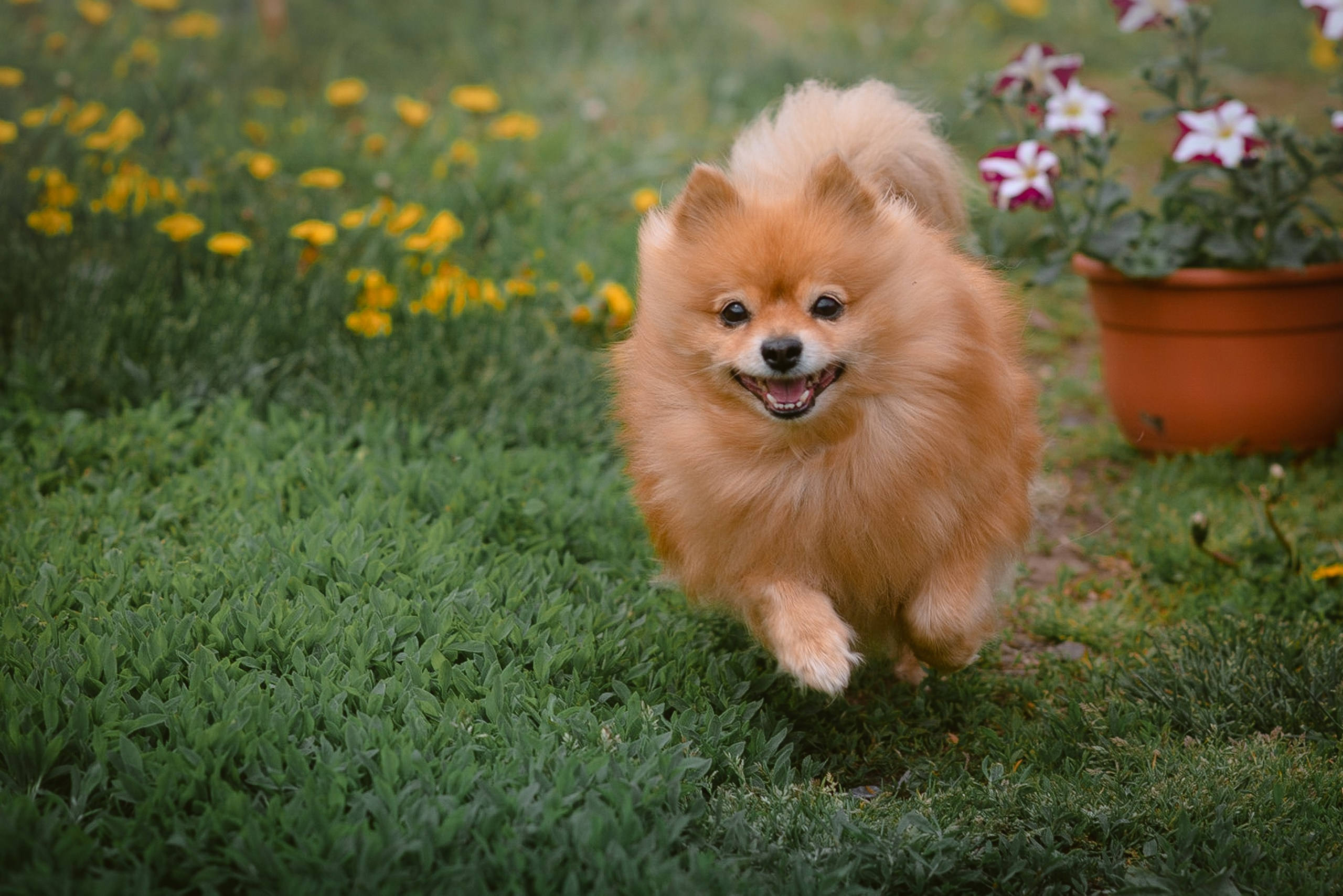 Фотограф на Камчатке Екатерина Масалович