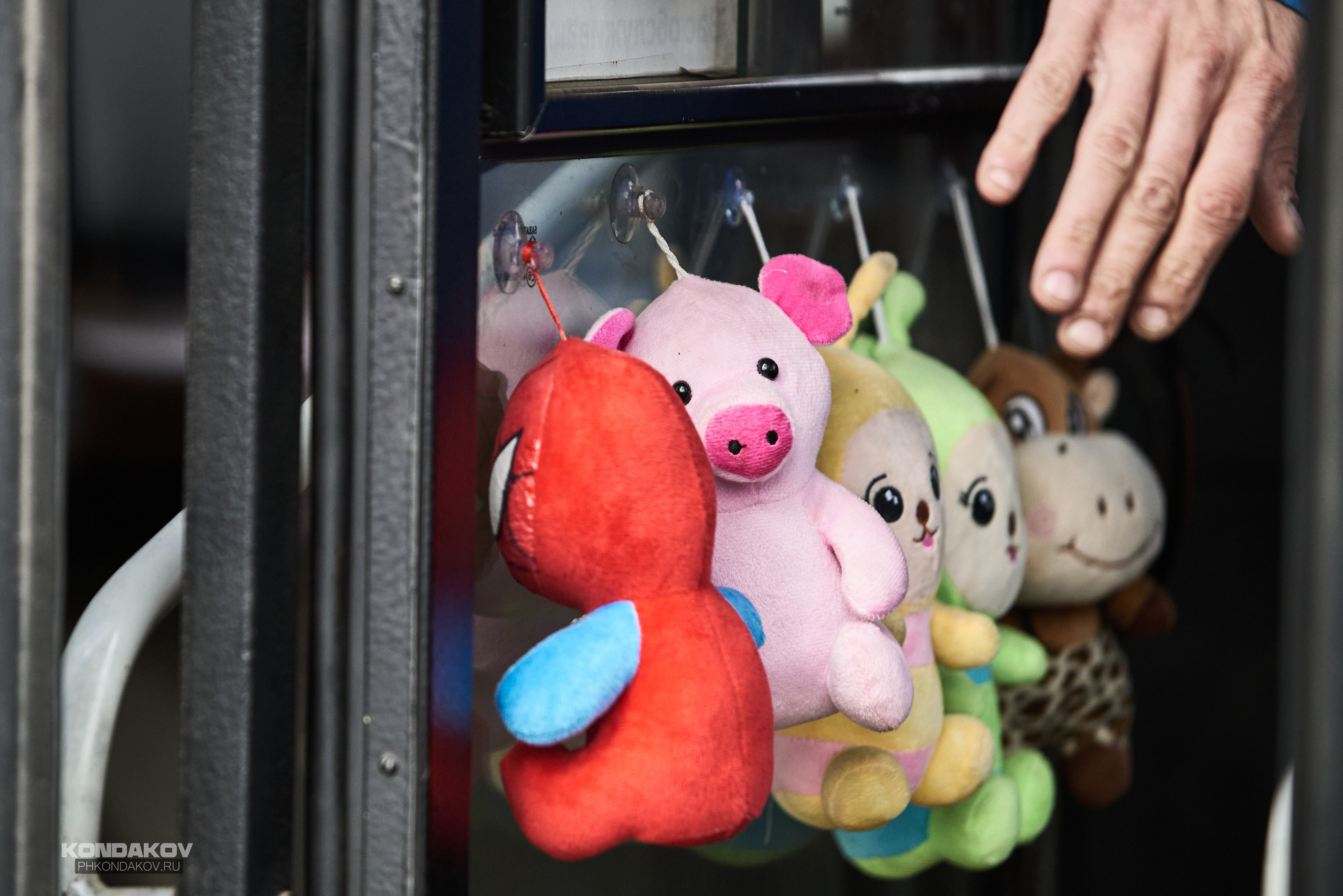 Первомайская эстафета в Иваново 2024 год. Фотограф в Иваново: Каталожная съемка одежды и постельного белья, Wildberries